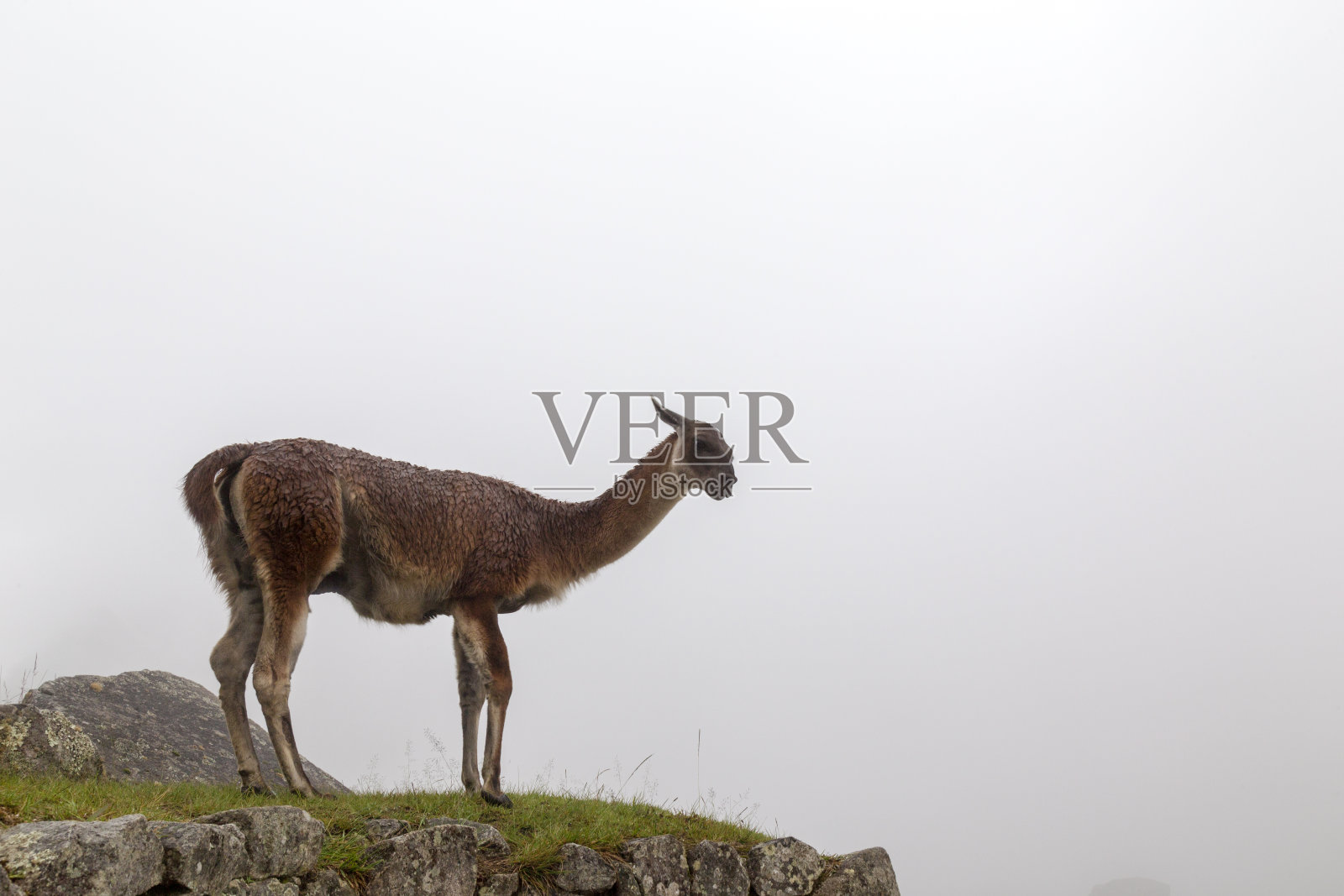 马丘比丘城(秘鲁)照片摄影图片