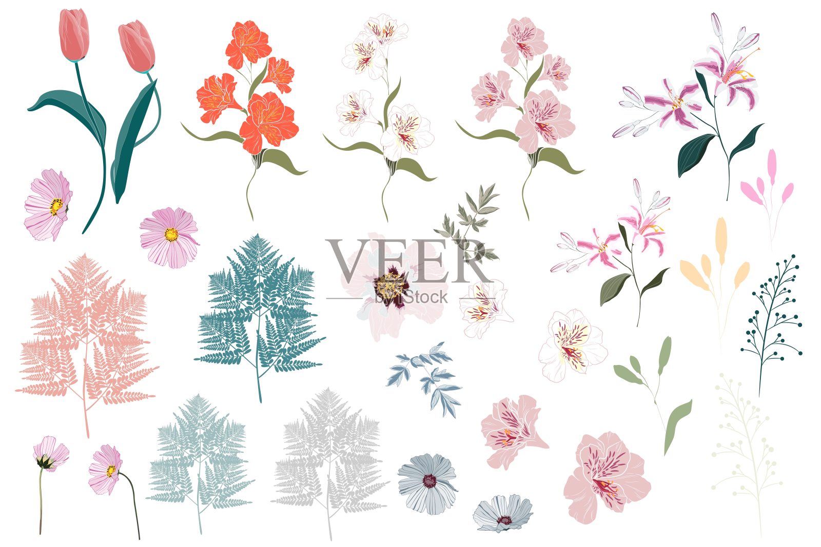 矢量大集植物元素-野花，草药，叶子。收藏园林和野生的树叶、花朵、树枝。插图孤立的白色背景，蕨类，花园和异国情调，热带植物。插画图片素材