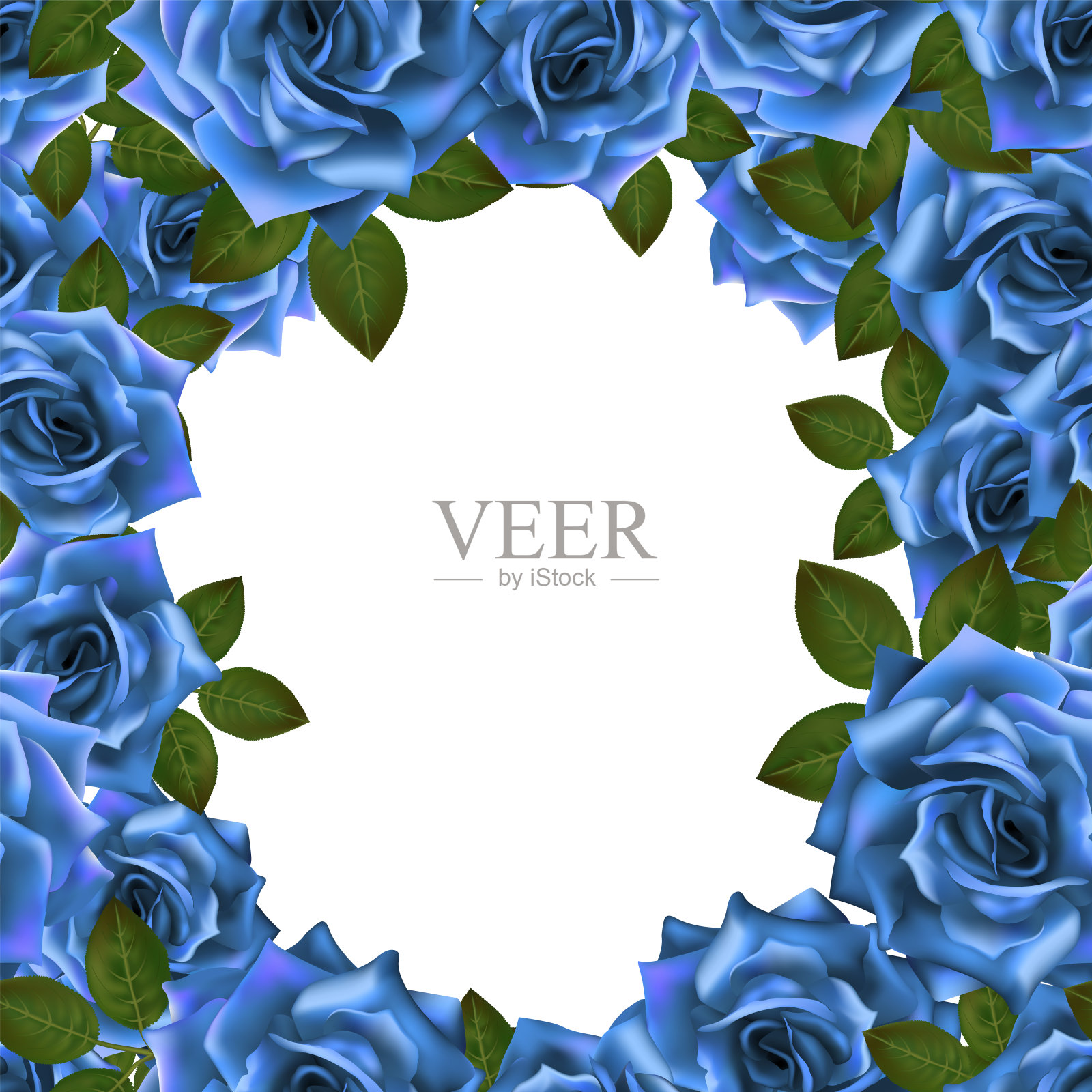 矢量背景框架与蓝色玫瑰和文本的地方插画图片素材