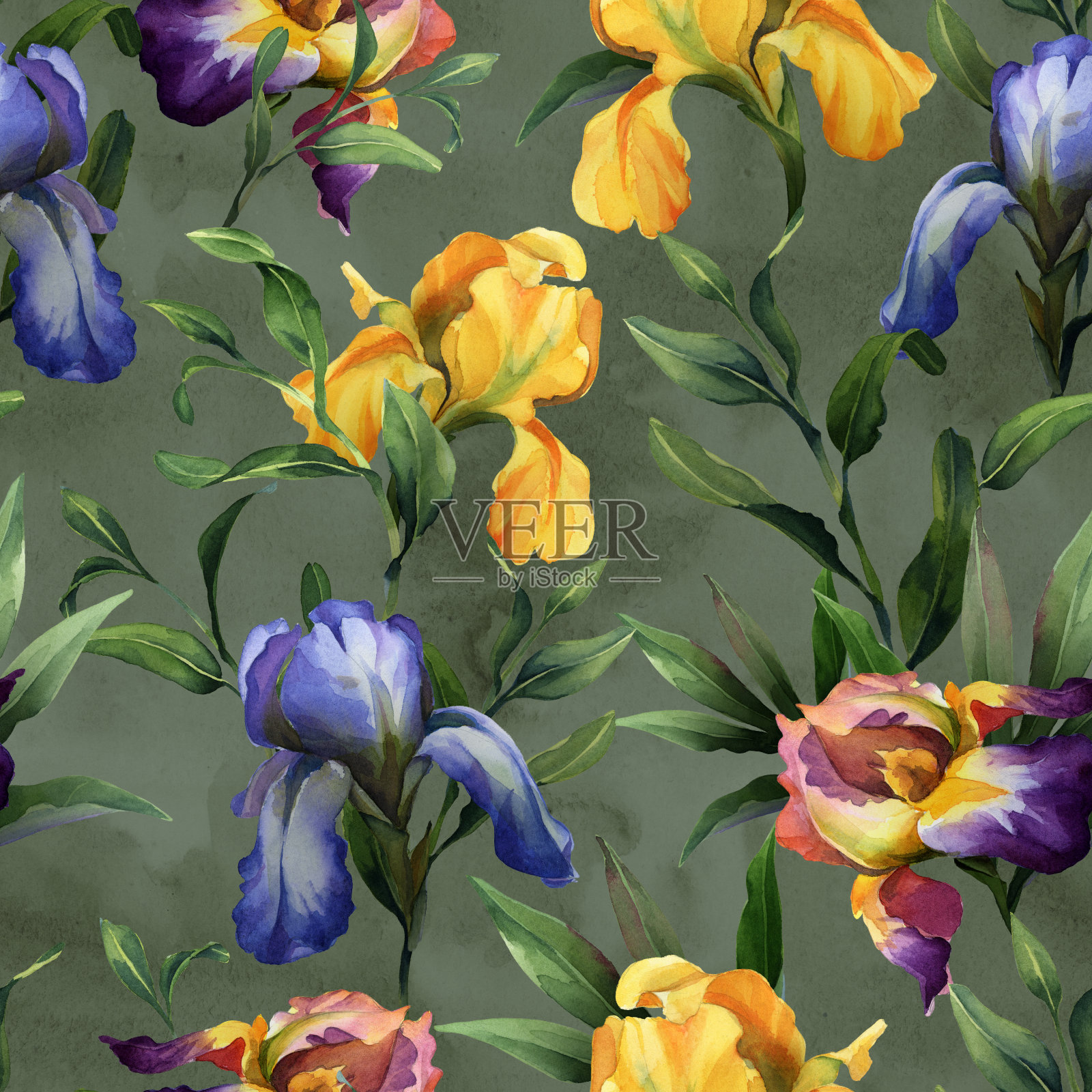 水彩无缝图案与紫色，黄色和蓝色鸢尾花和绿色的叶子在绿色的背景插画图片素材
