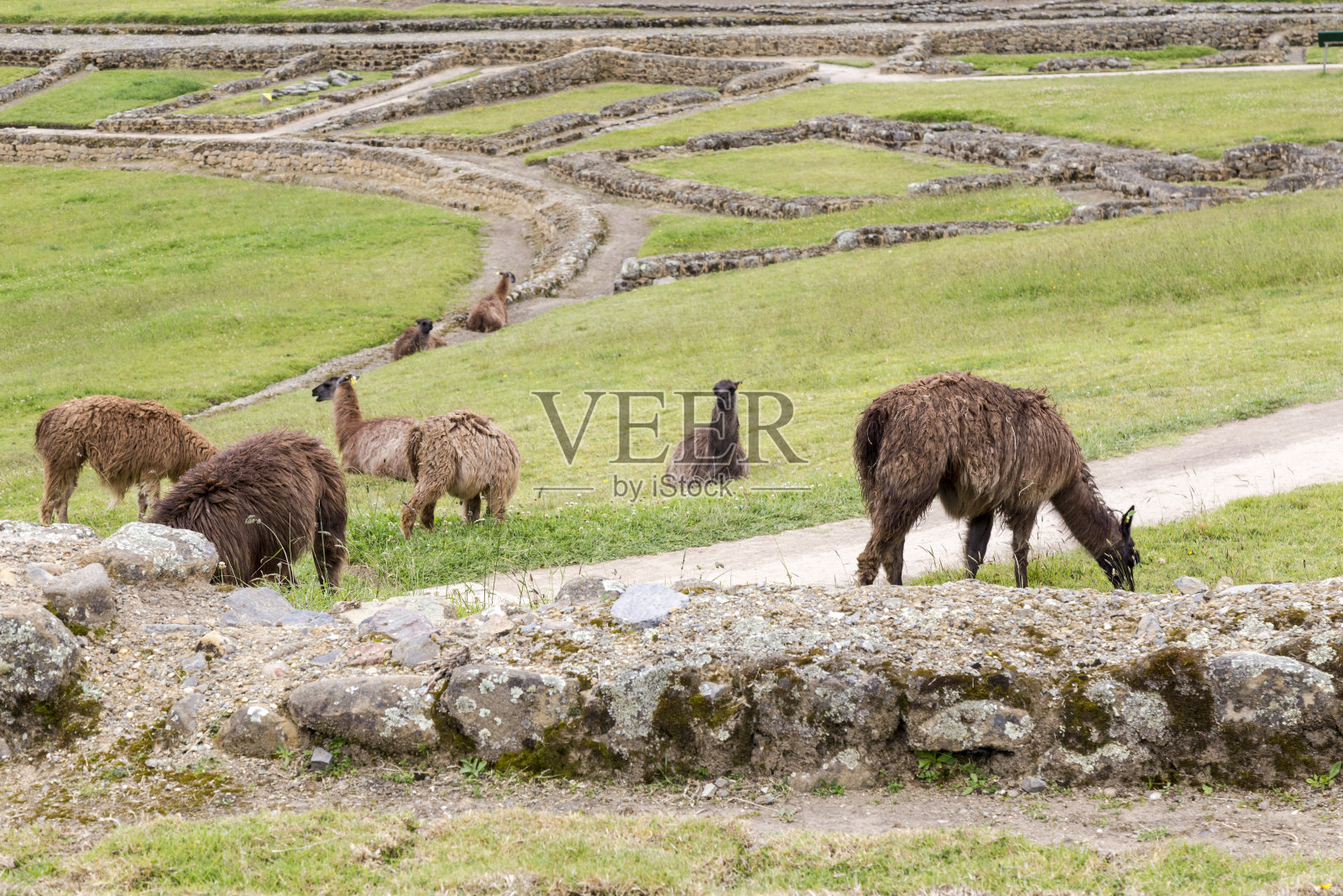 印加皮尔卡照片摄影图片