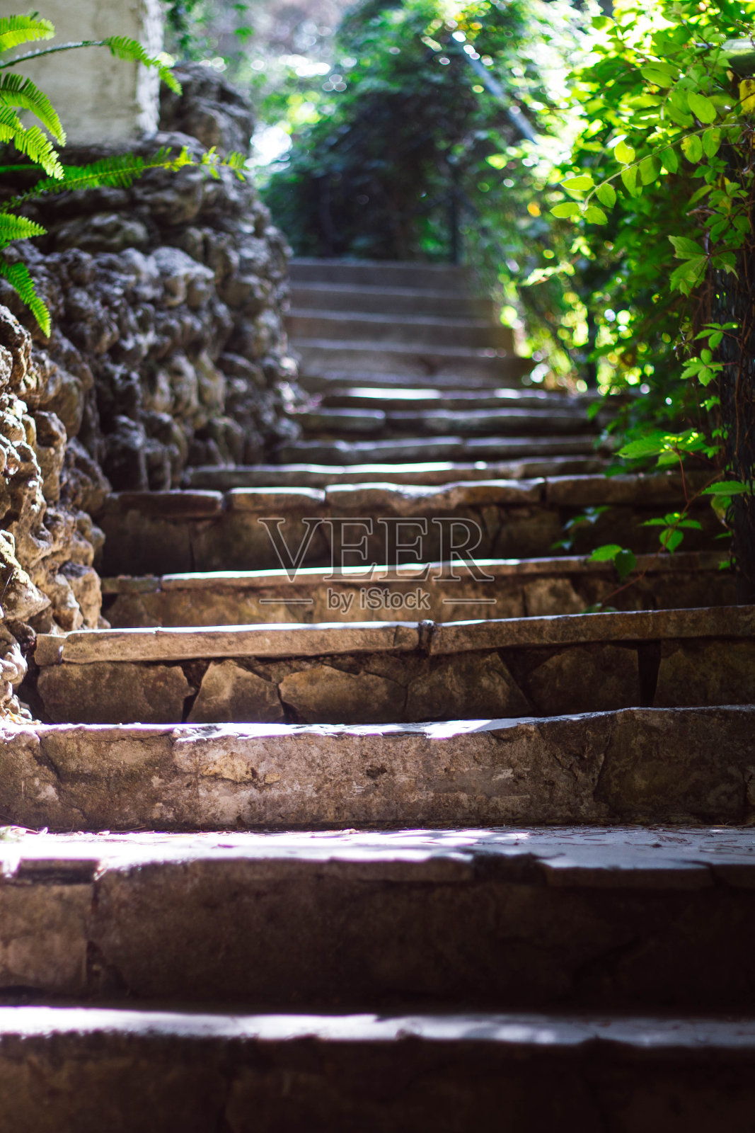 石灰色的楼梯通向土耳其的花园，里面种着奇异的植物。太阳。照片摄影图片