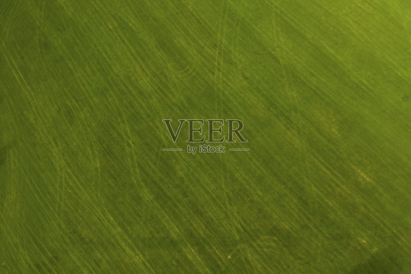 上面有拖拉机履带的草地照片摄影图片