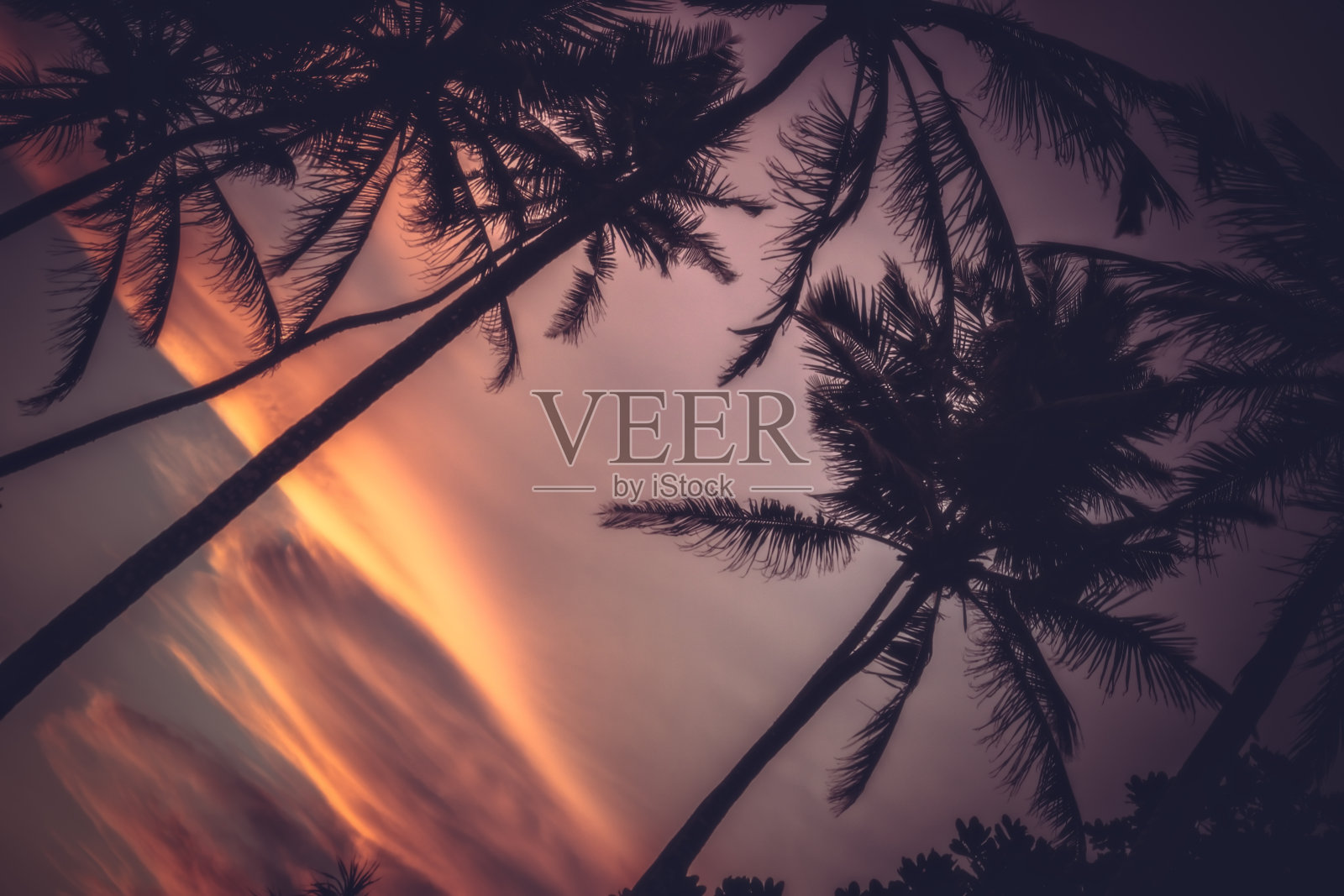 海滩日落天空棕榈树剪影复古景观背景旅游度假生活与风景橙色日落天空照片摄影图片