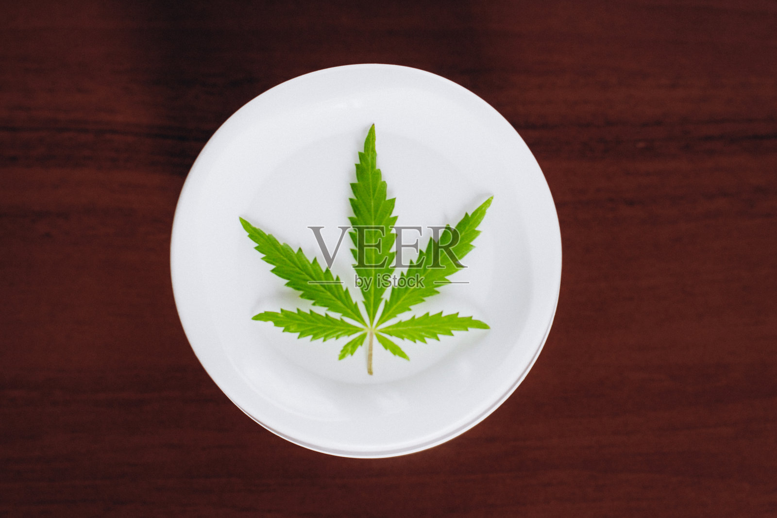 从大麻植物药用油CBD与绿色大麻叶子与拷贝空间的生物和生态植物霜瓶的宏观近距离照片摄影图片