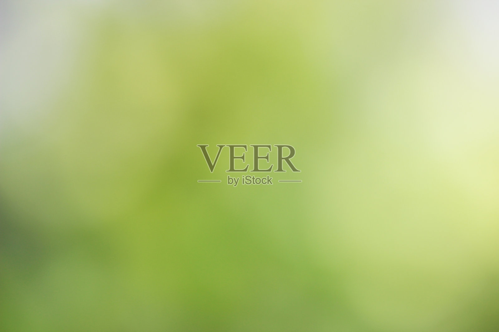 抽象模糊的绿色，黄色和白色背景。照片摄影图片