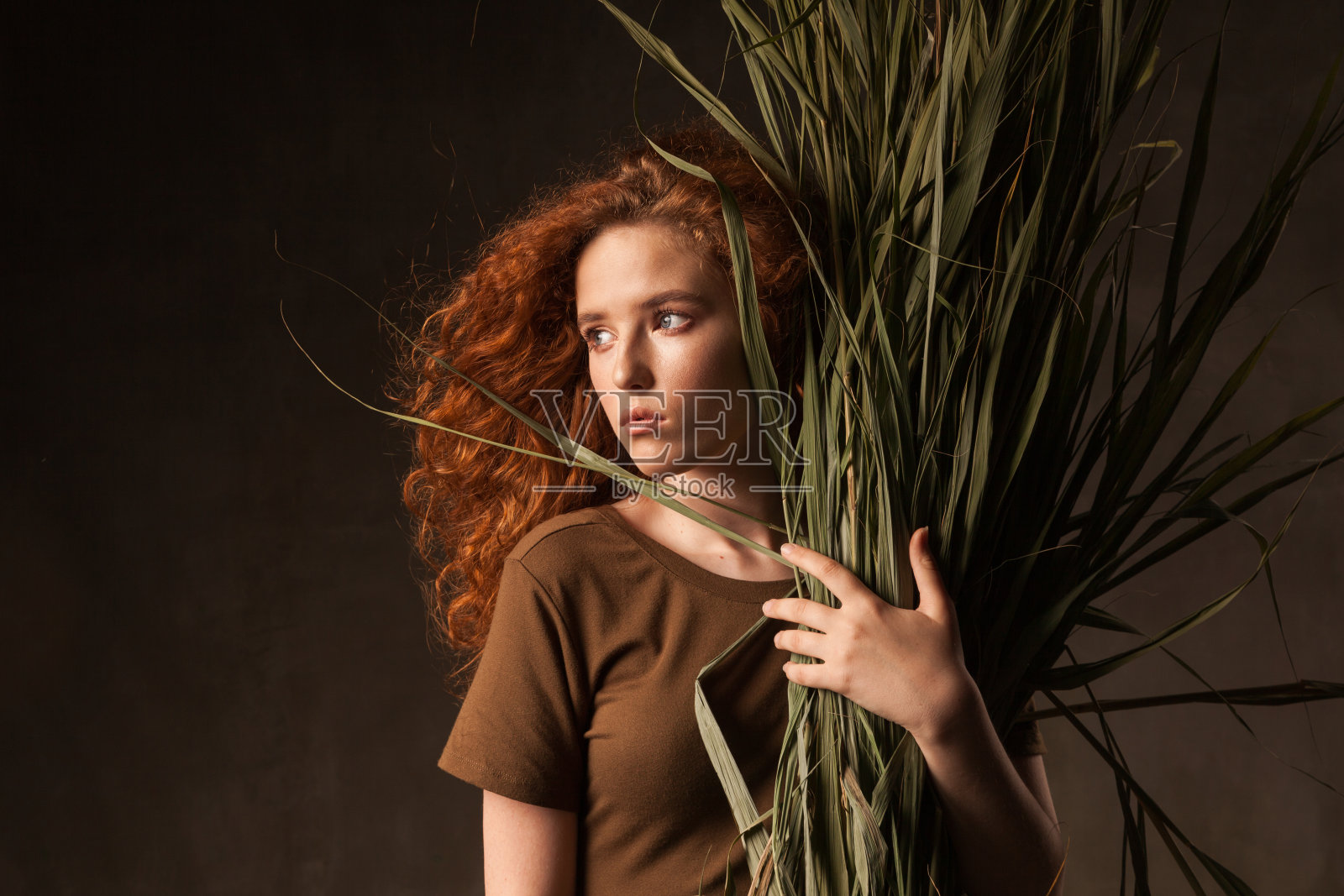 劲量美丽年轻的姜黄色卷发女人与绿色热带植物藤草在黑暗的墙壁工作室摆姿势。空间背景副本。照片摄影图片