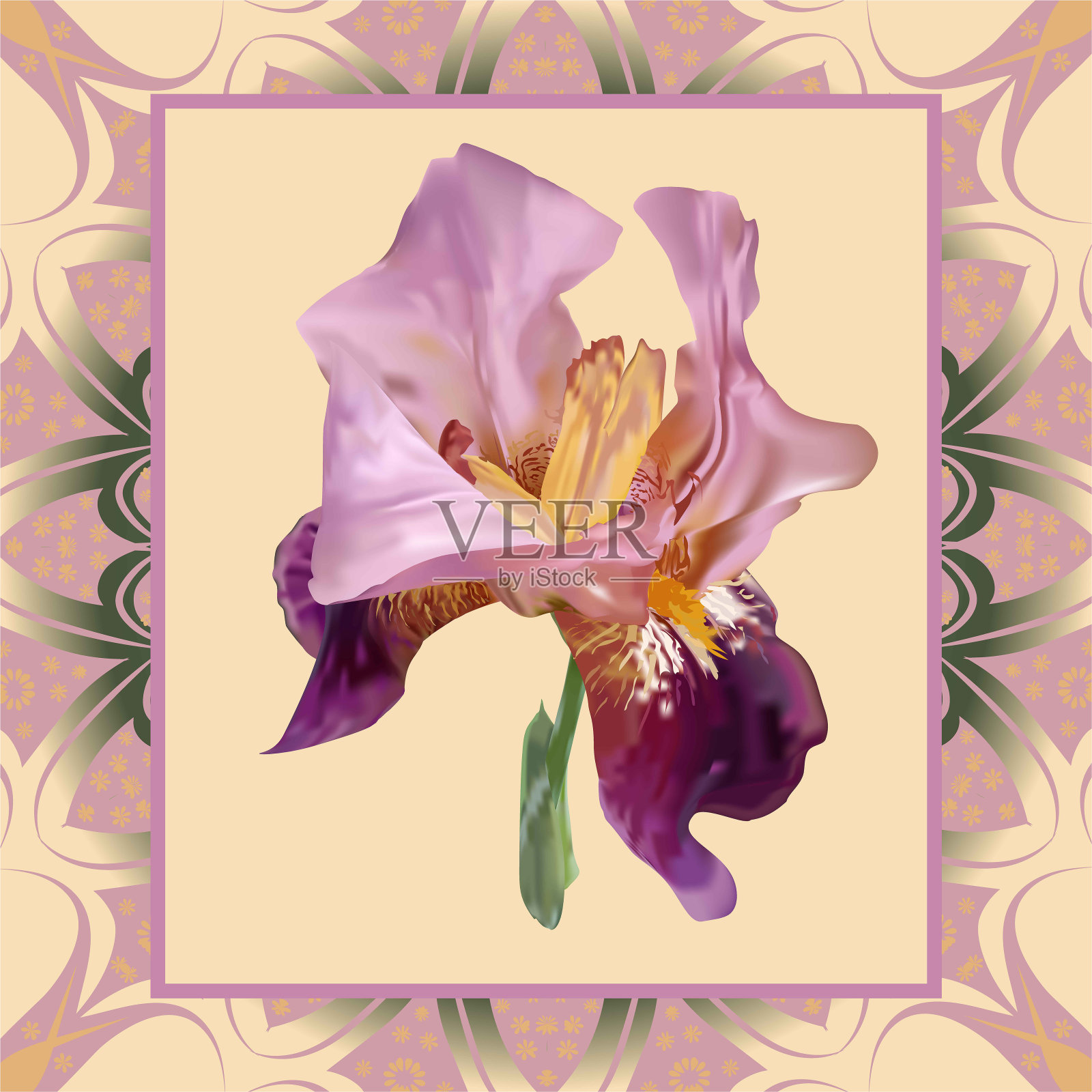 花——虹膜。花瓣紫紫色，中黄色。位于具有相同色调的图案的框架，在米色背景上。插画图片素材