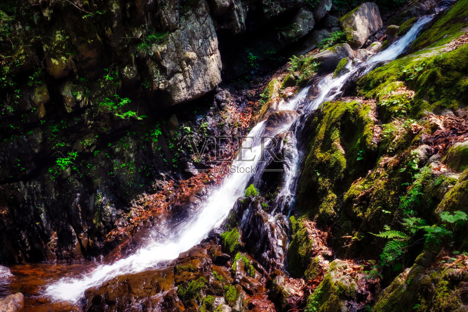瀑布和绿色照片摄影图片
