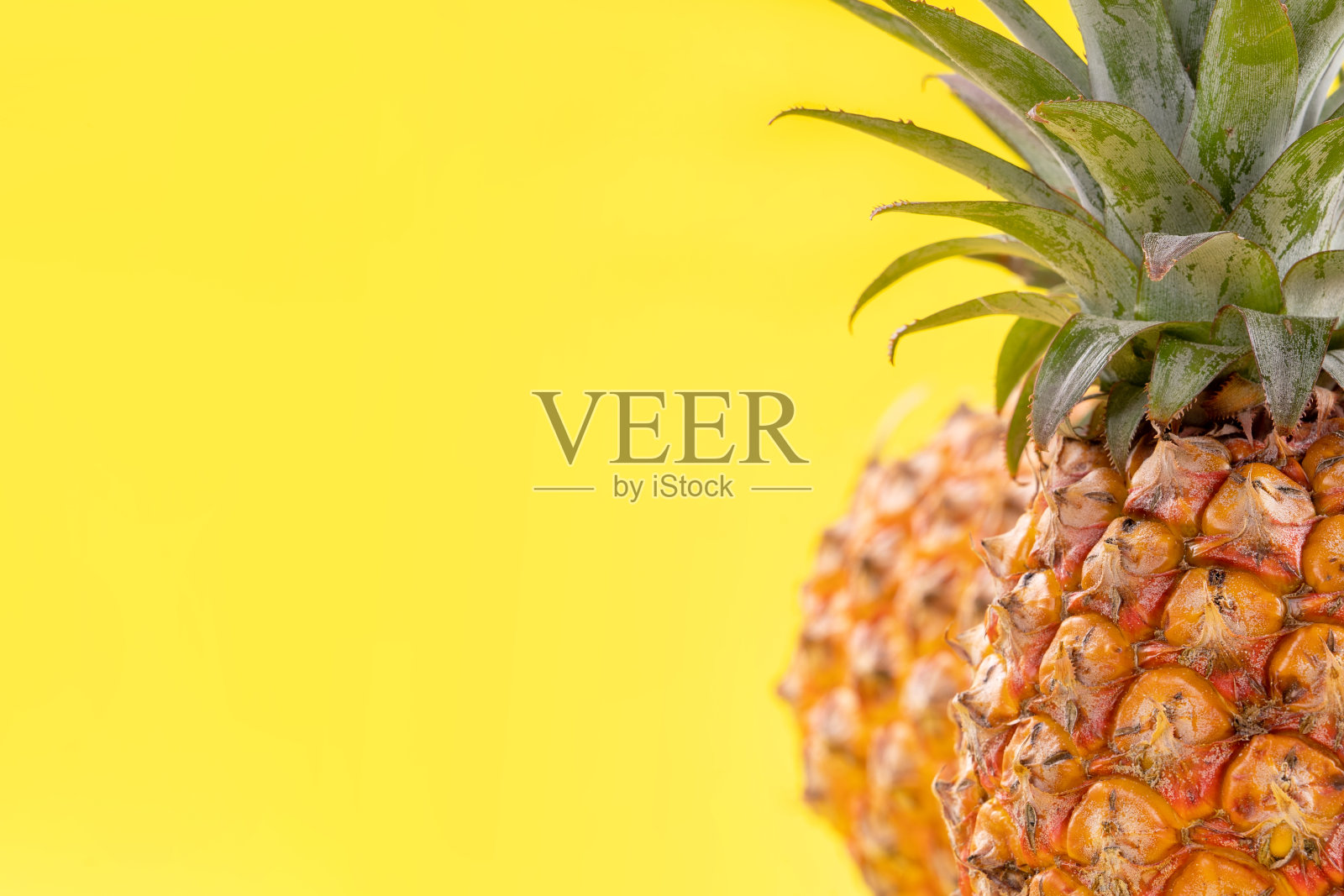 美丽新鲜的菠萝孤立在明亮的黄色背景上，夏季季节性的水果设计理念图案概念，复制空间，近距离照片摄影图片