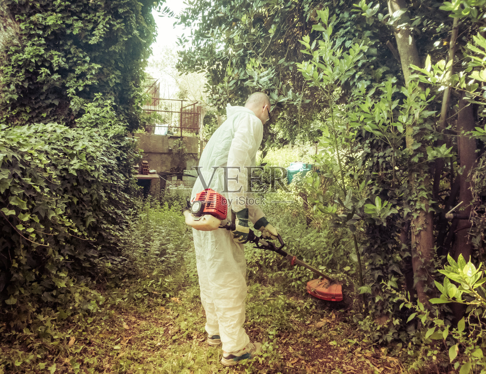 使用剪毛刀的人照片摄影图片