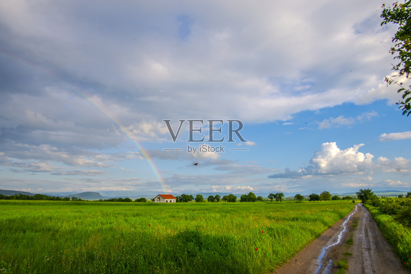 神奇的彩虹照片摄影图片