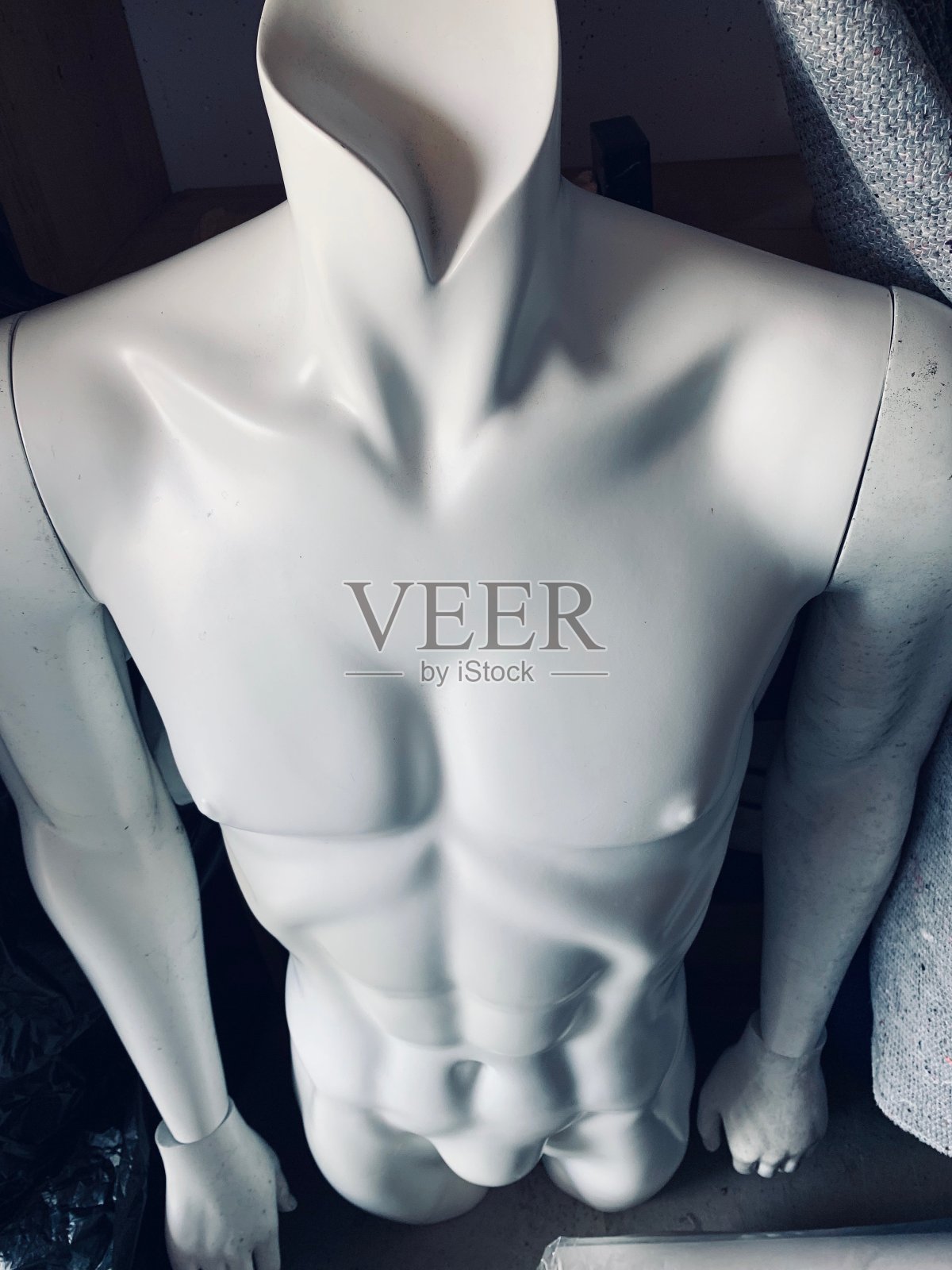 男性躯干模型照片摄影图片