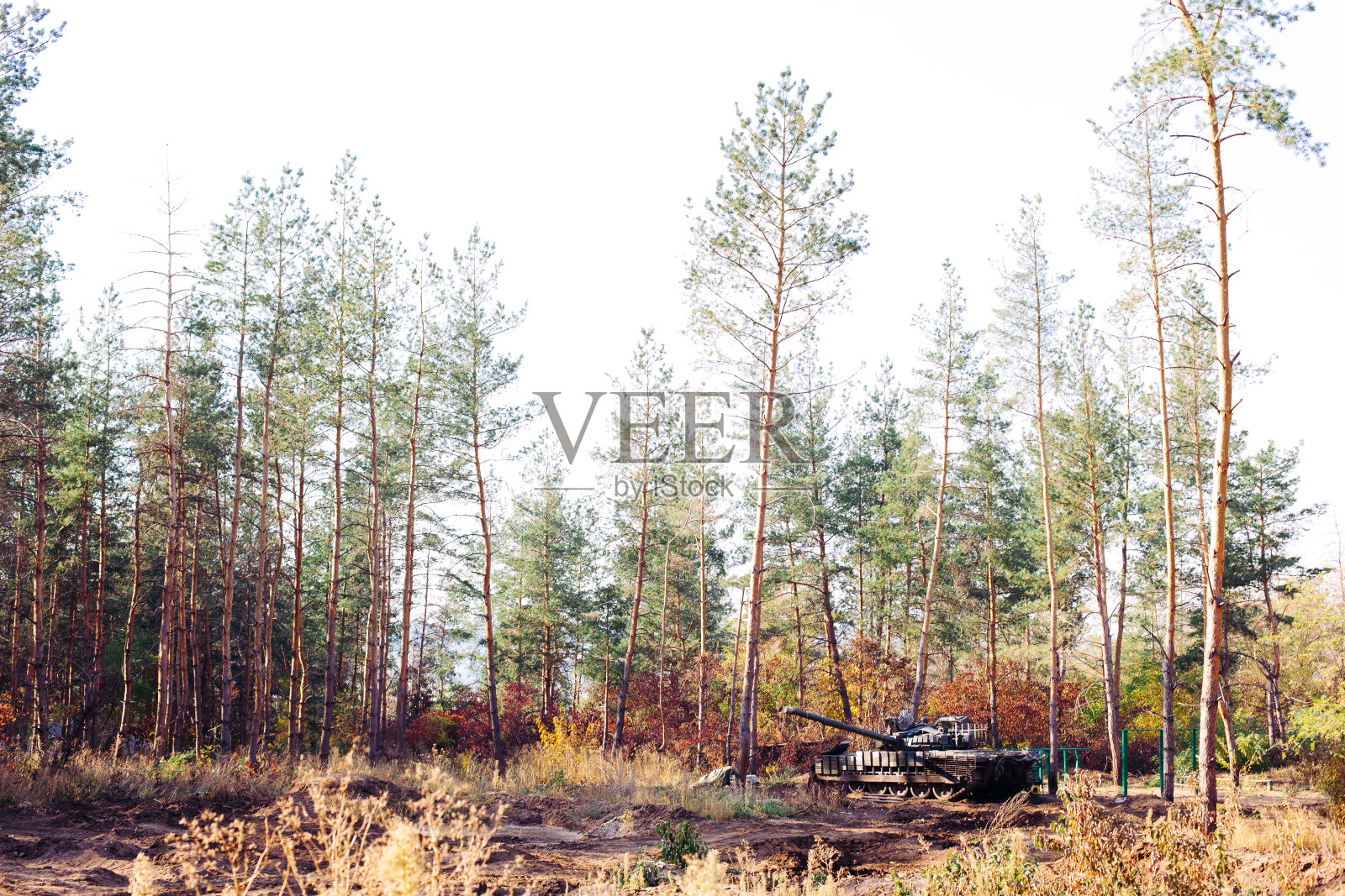 真正的战斗坦克在乌克兰未铺的森林道路上行驶照片摄影图片