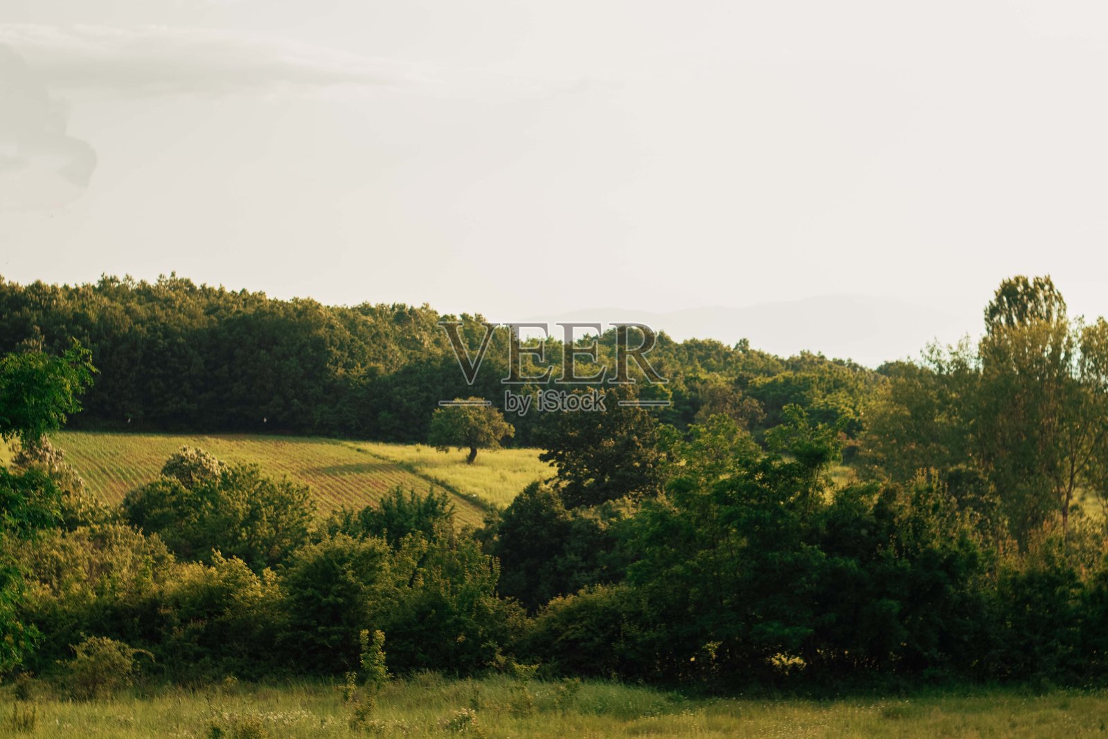 自然照片摄影图片