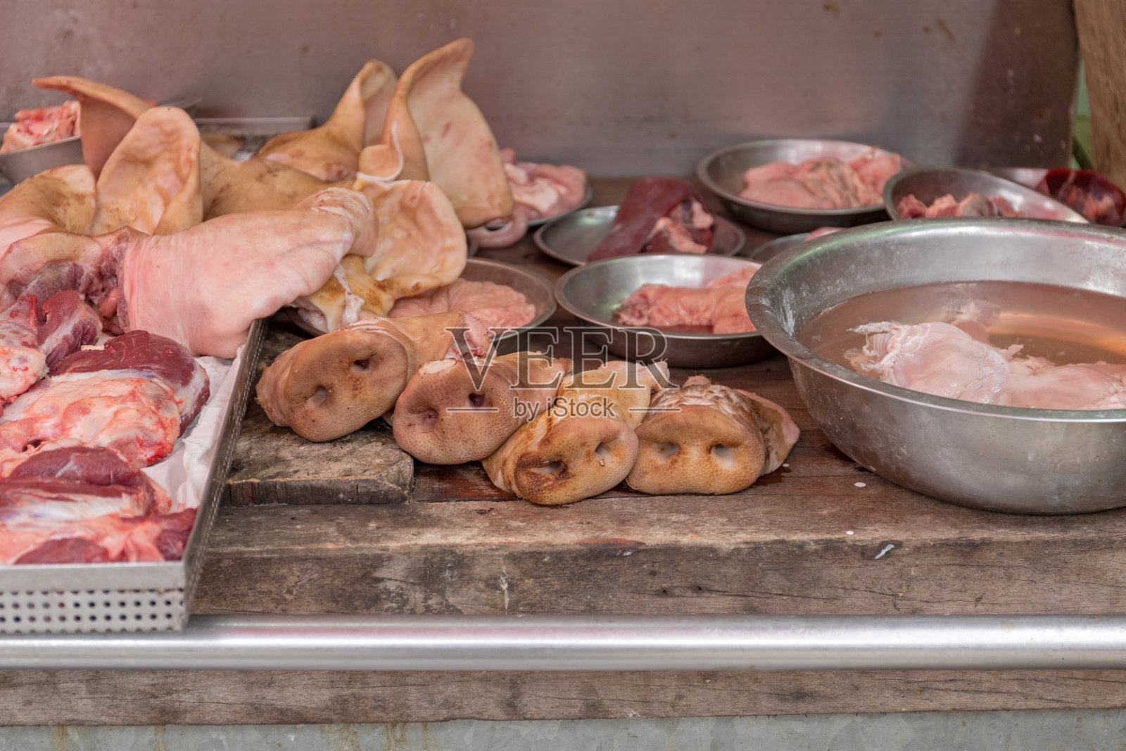 猪的鼻子照片摄影图片