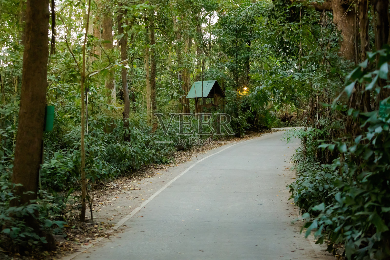 吴东寺周围的老公园照片摄影图片