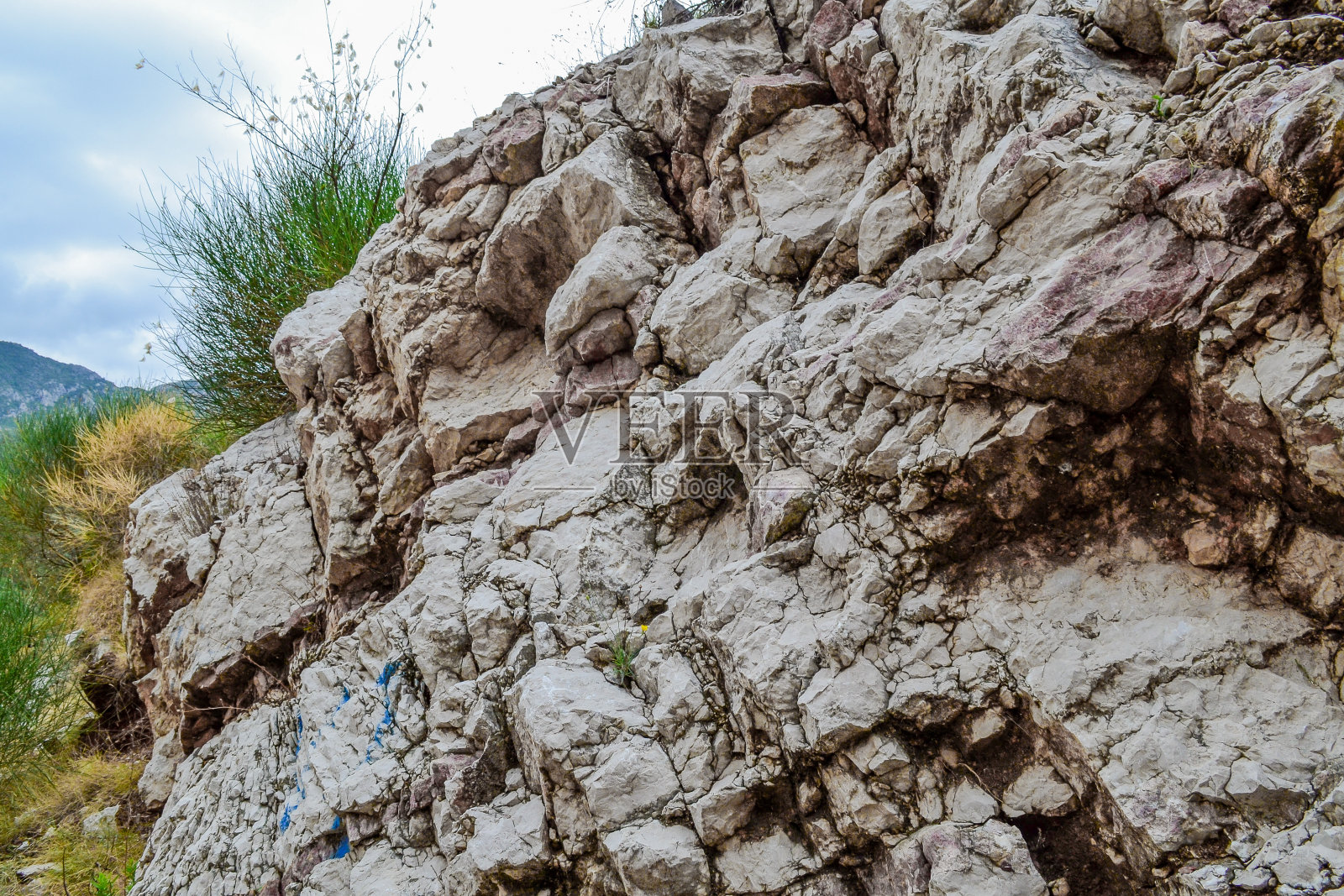 岩石的纹理。大石头从岩石上剥落。树根垂下来照片摄影图片