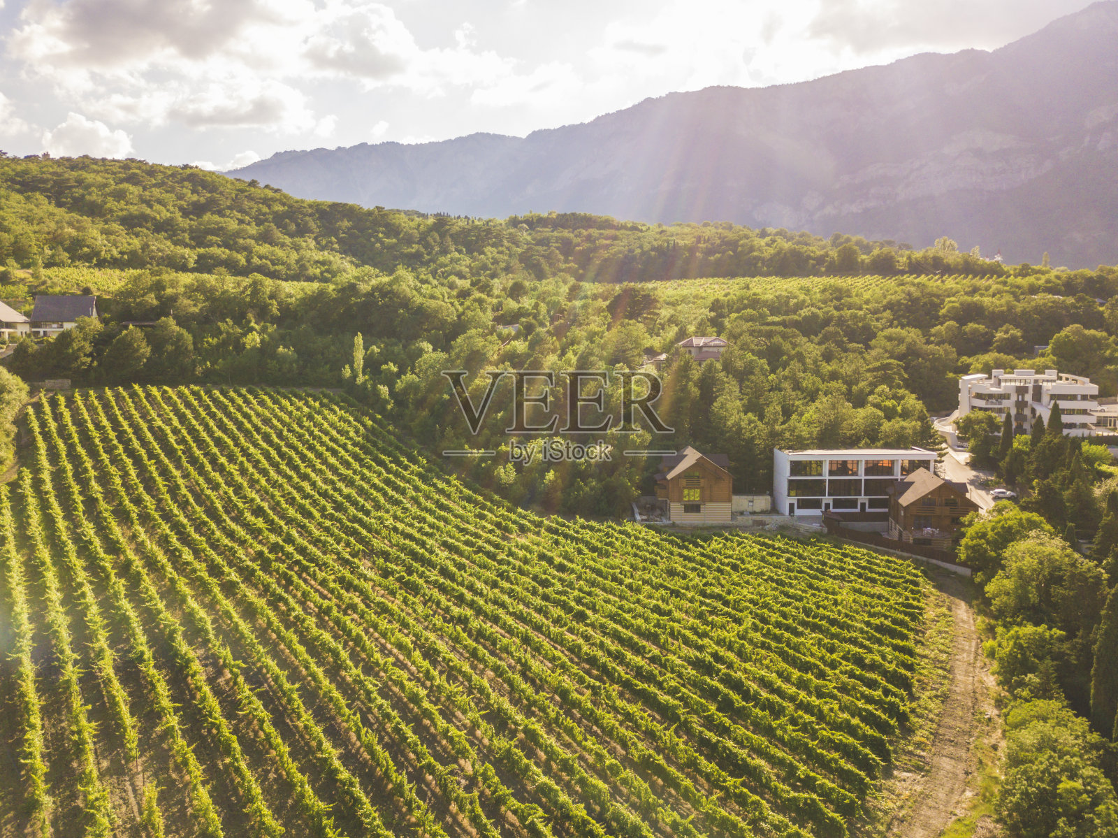 夏季高空种植，山上日照充足照片摄影图片