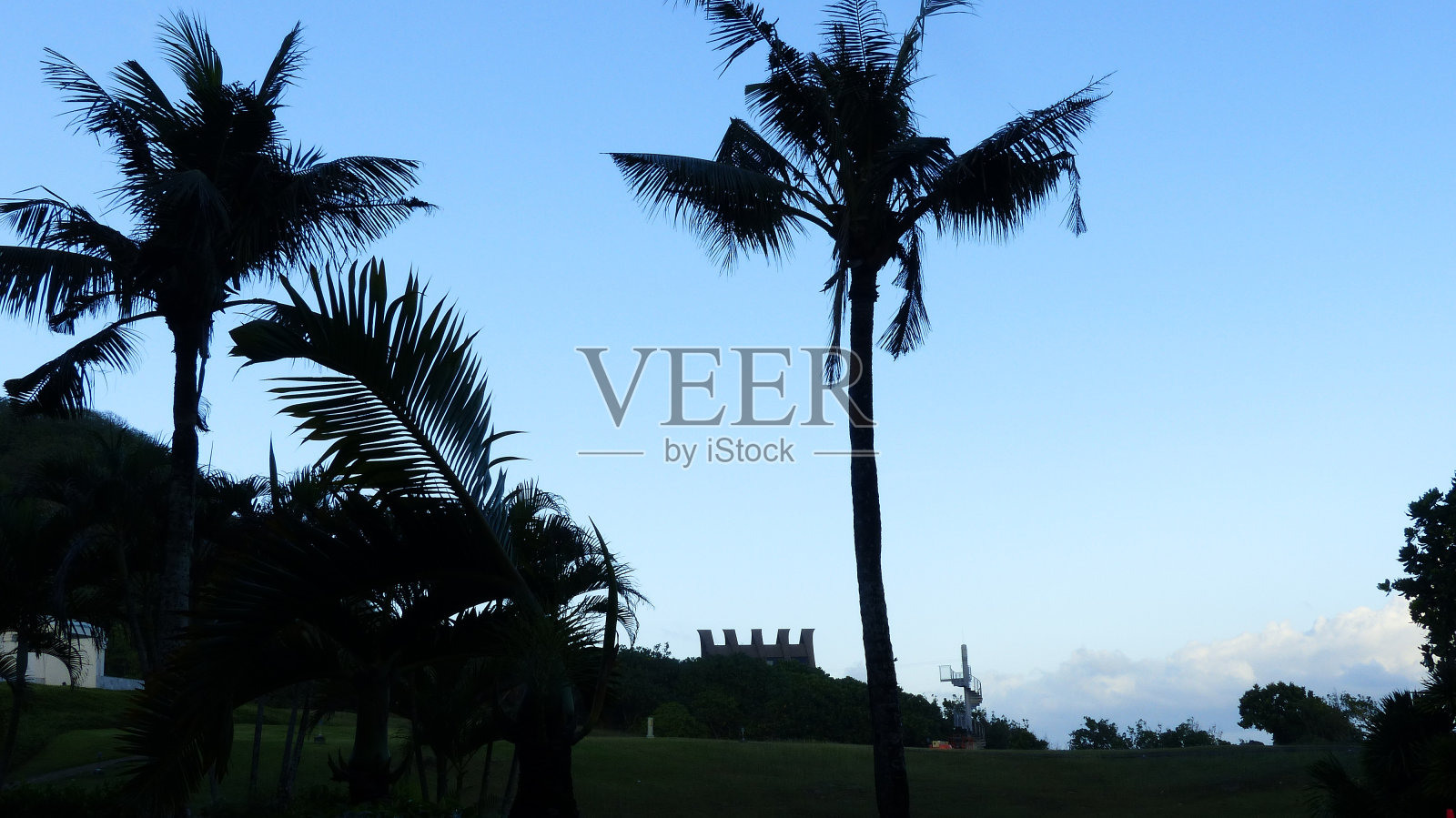 关岛群岛的热带树木照片摄影图片