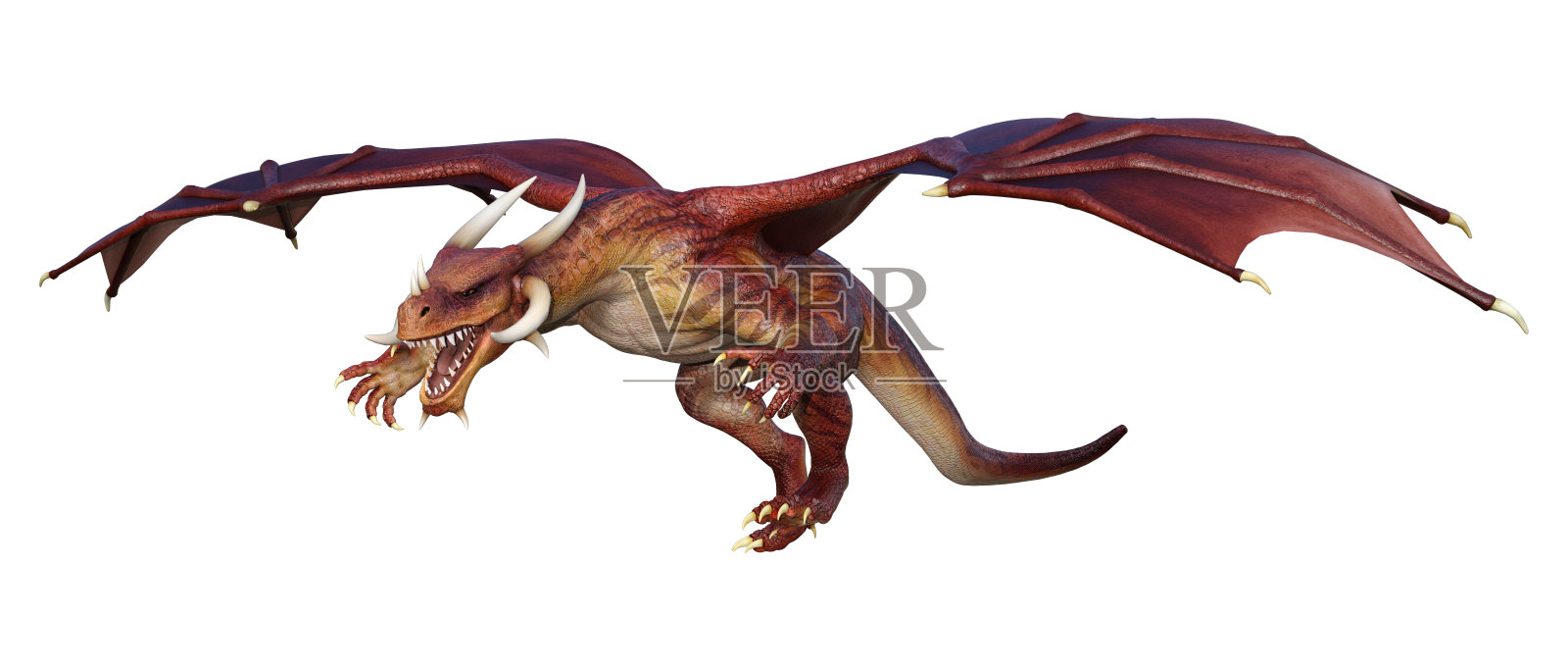 3D插图幻想龙在白色照片摄影图片