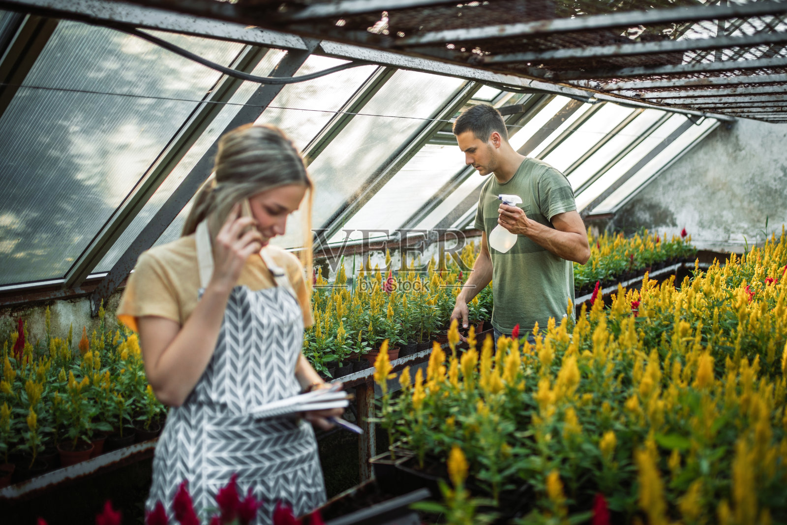 小花园商业照片摄影图片