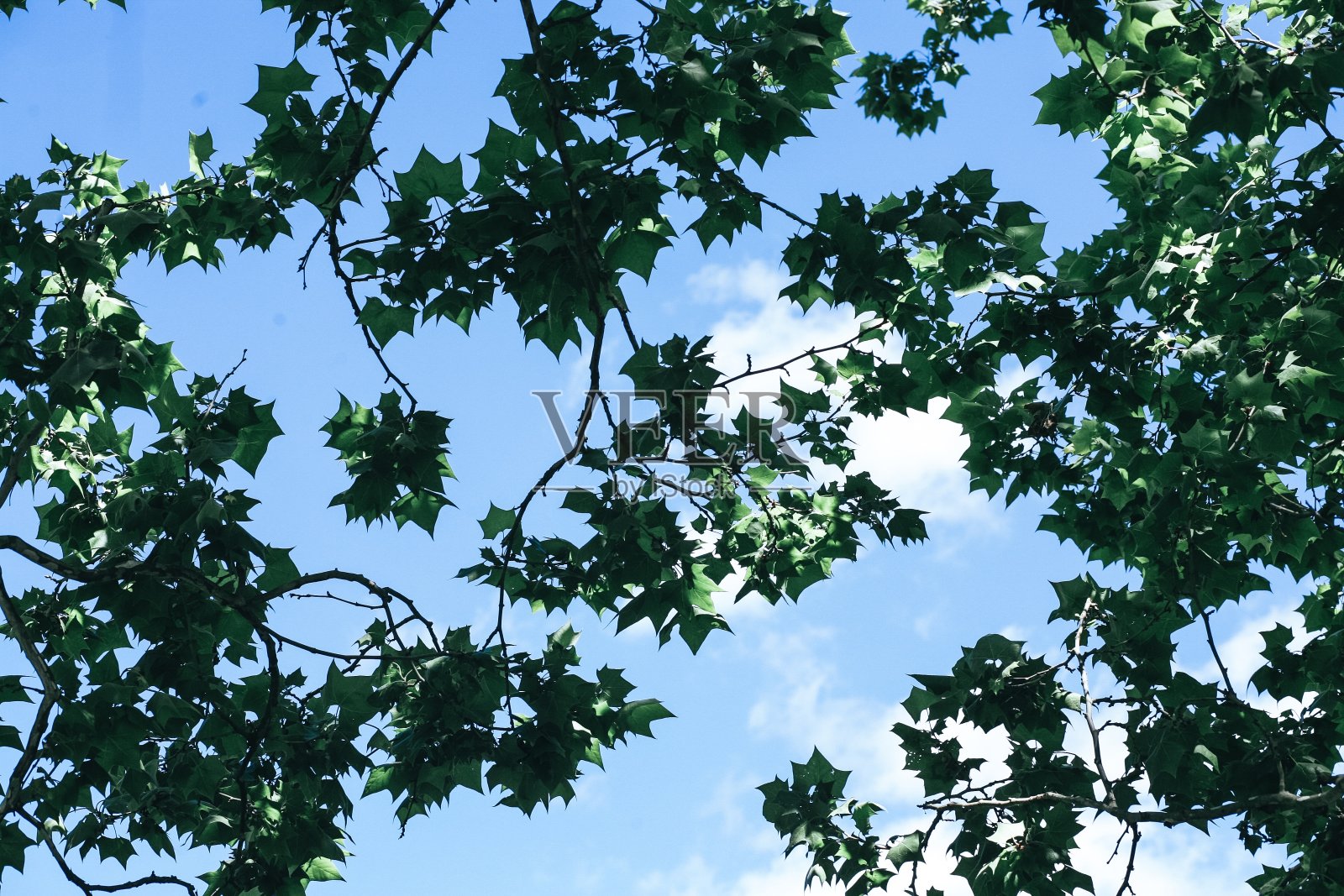 夏天的一天照片摄影图片