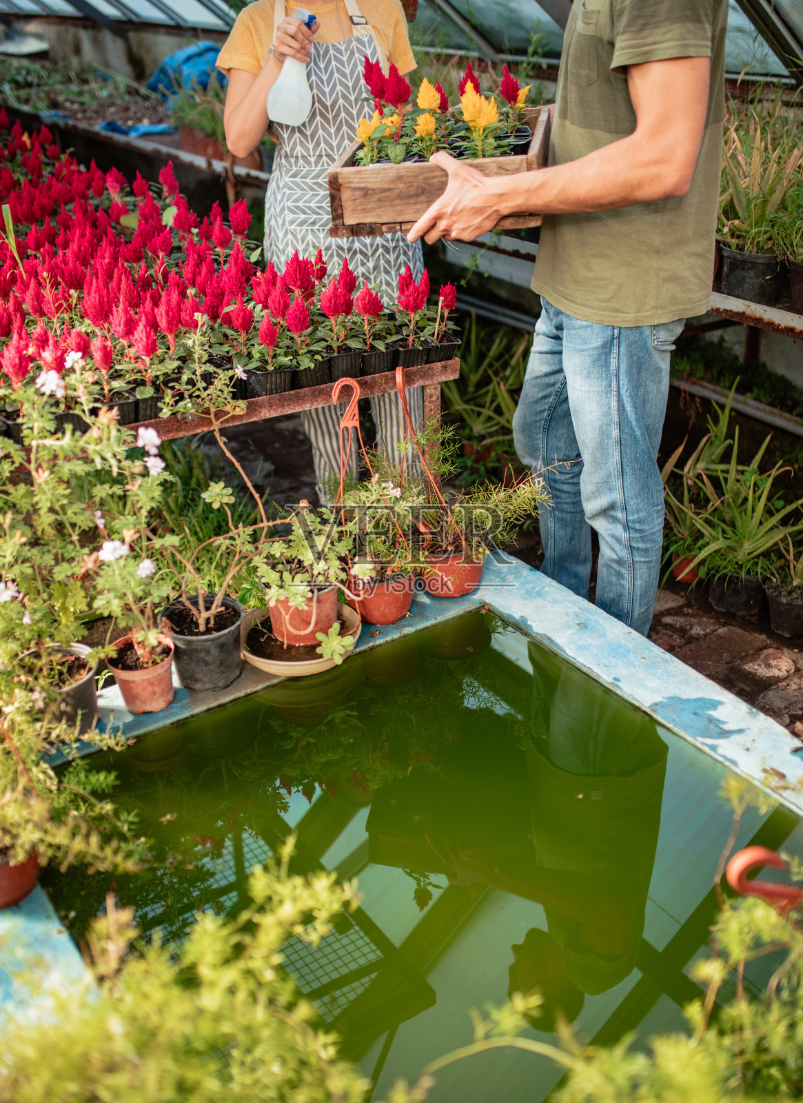 一起浇花照片摄影图片
