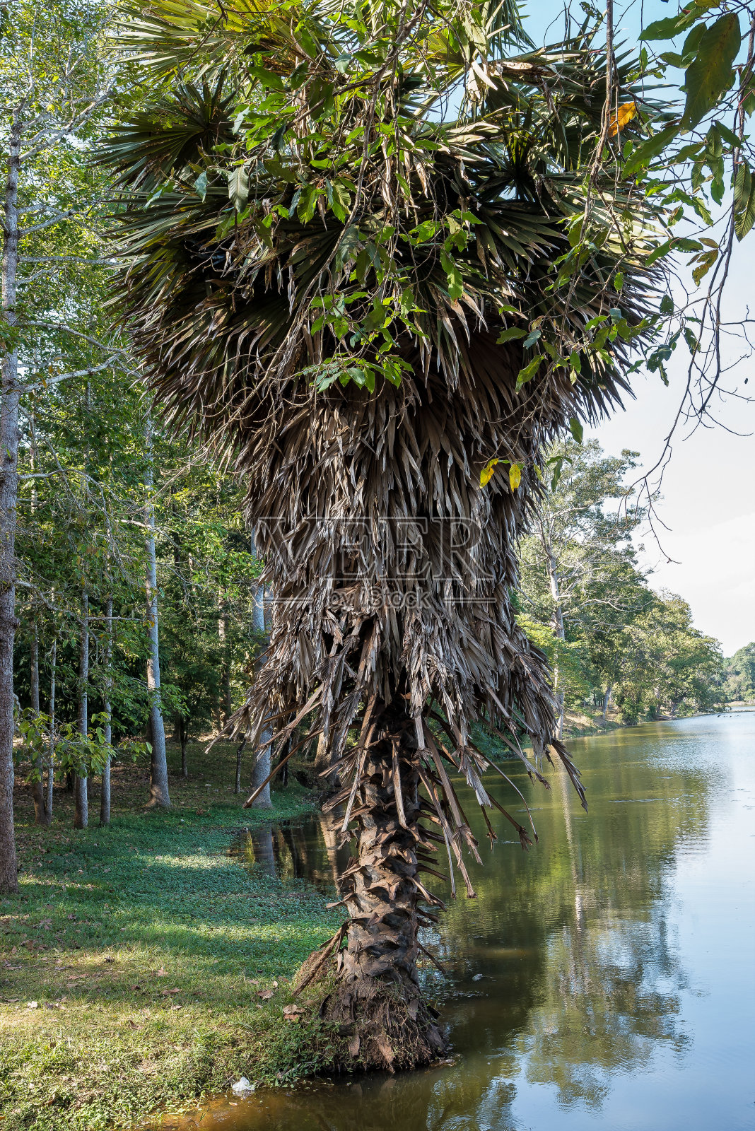 吴哥窟是柬埔寨暹粒的一座庙宇建筑群。照片摄影图片