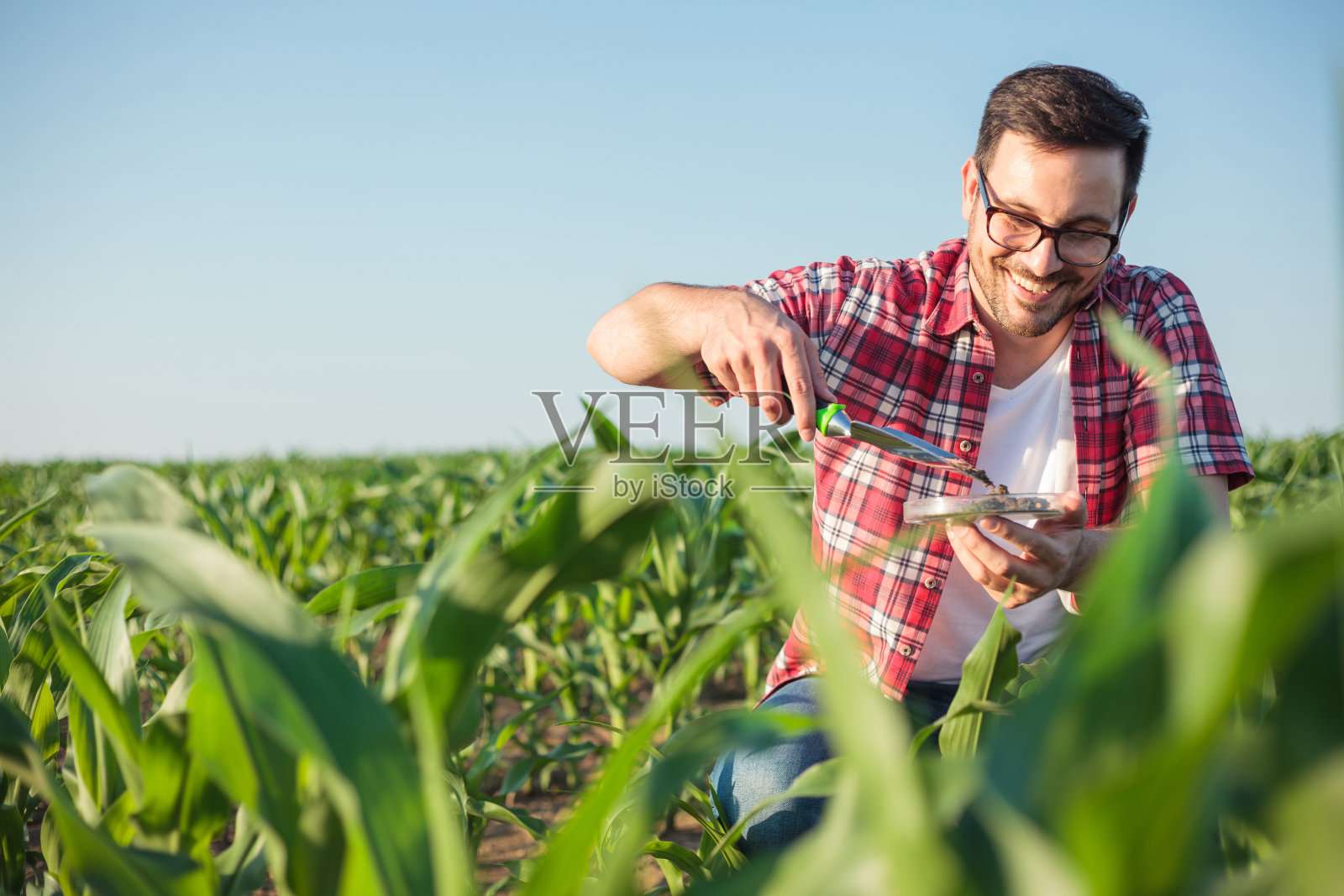 微笑的年轻农学家或农民在玉米农场采集和分析土壤样本照片摄影图片