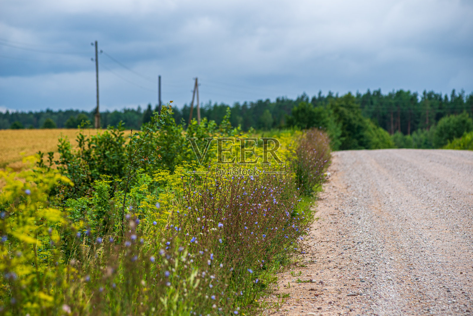 简单的乡村土路在春天照片摄影图片