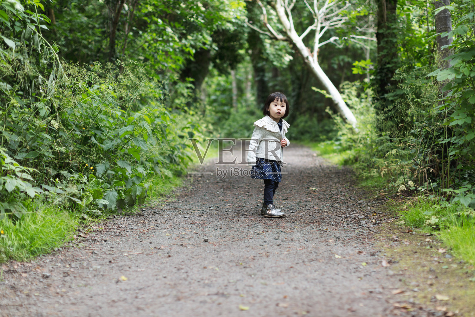 初学走路的小女孩在春天的森林公园玩耍照片摄影图片