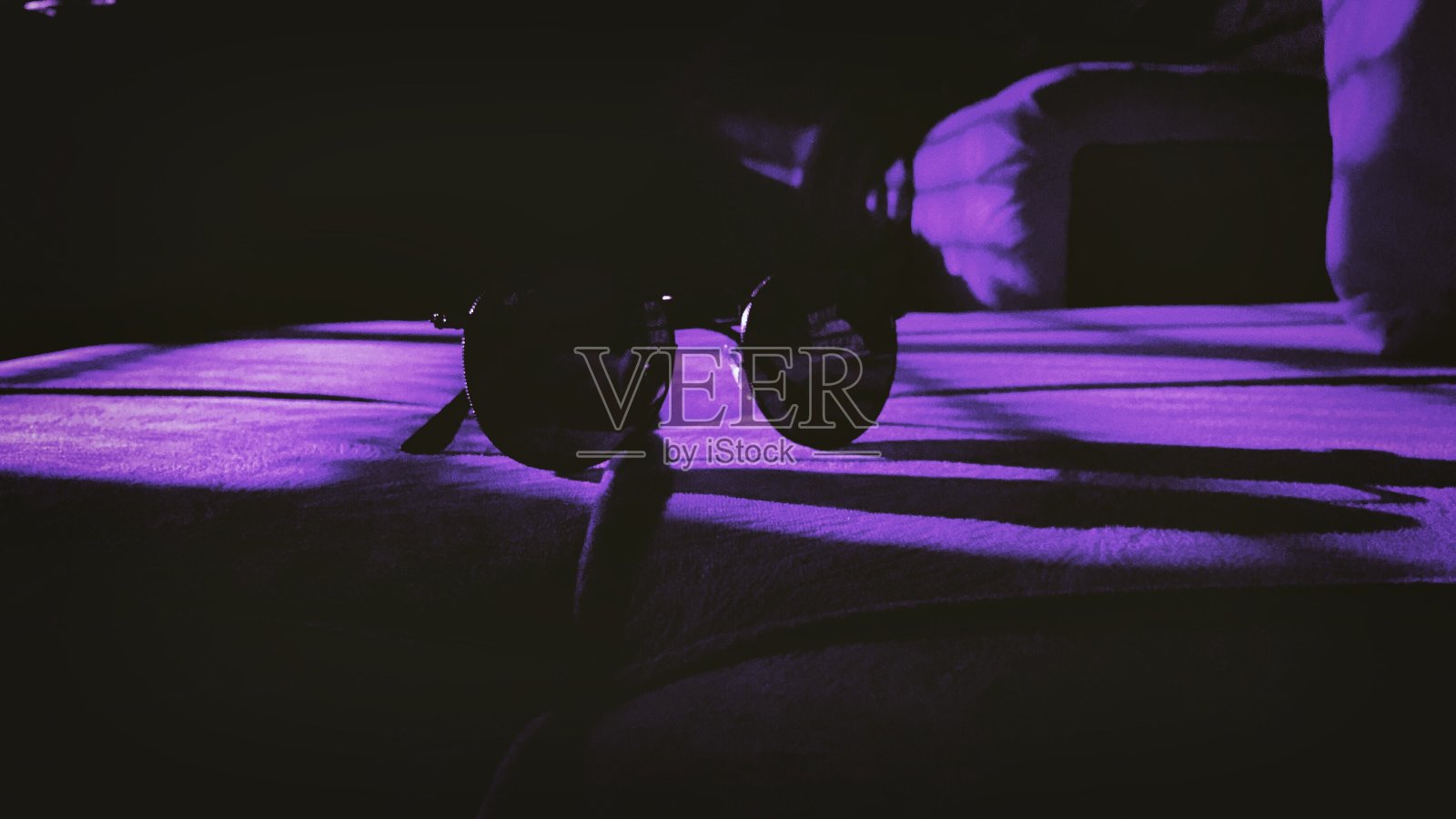 太阳镜上的紫色聚光灯照片摄影图片