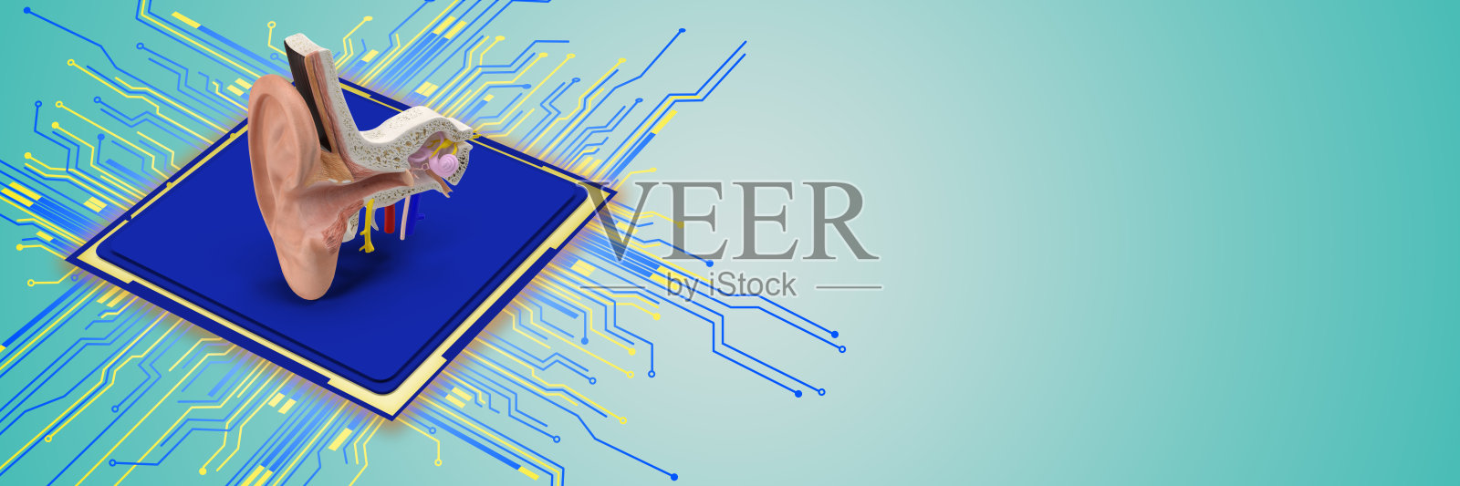 采用高科技的医疗保健理念。具有CPU和计算机电路背景的三维人耳切片图像。照片摄影图片