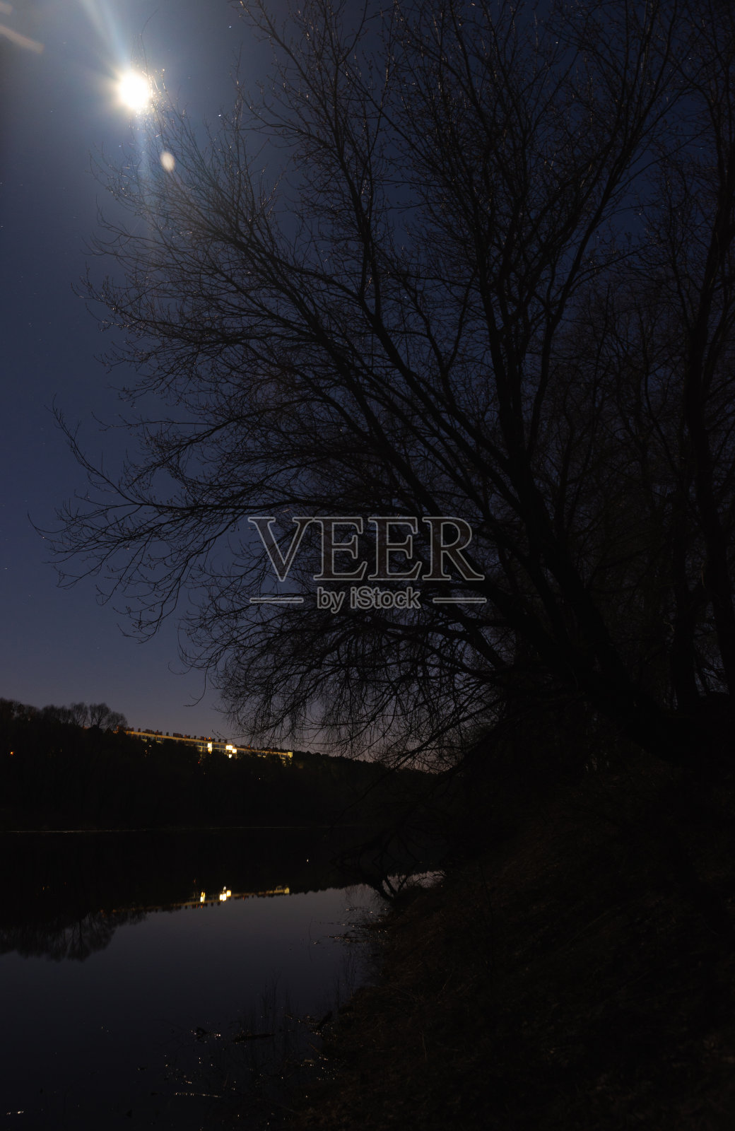 月光下星夜河边的森林照片摄影图片