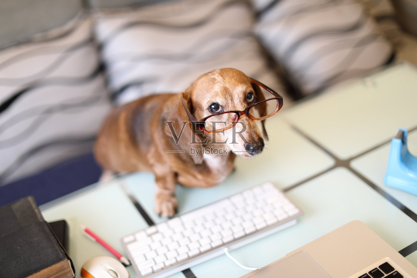 努力工作照片摄影图片