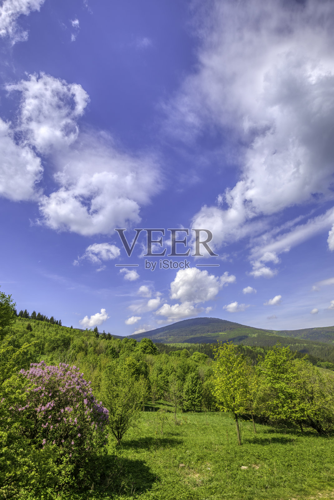 全景山景照片摄影图片