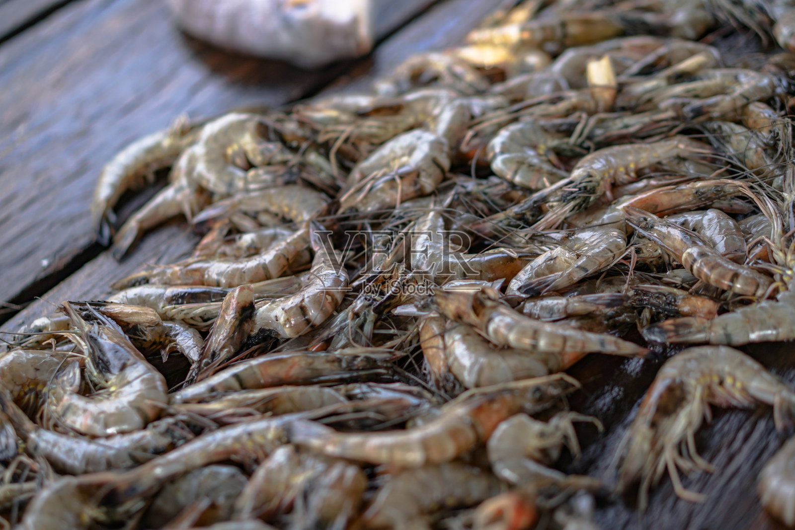 亚洲的鱼市。在印度洋捕捉海洋和海洋动物。金枪鱼在货架上出售。异国情调的背景照片摄影图片