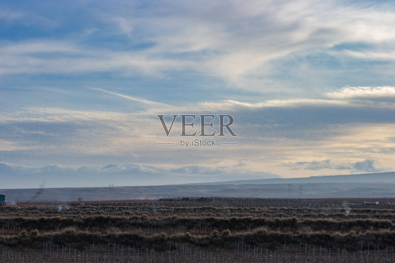 西班牙洛格罗尼奥上空的候鸟照片摄影图片