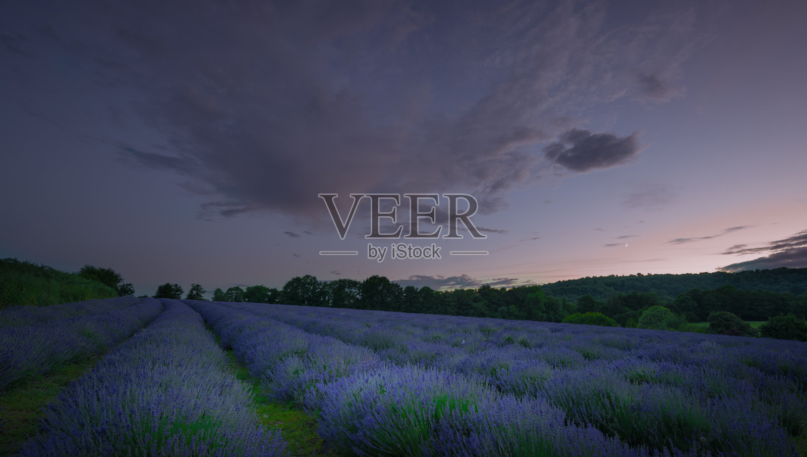 薰衣草田上的日落照片摄影图片