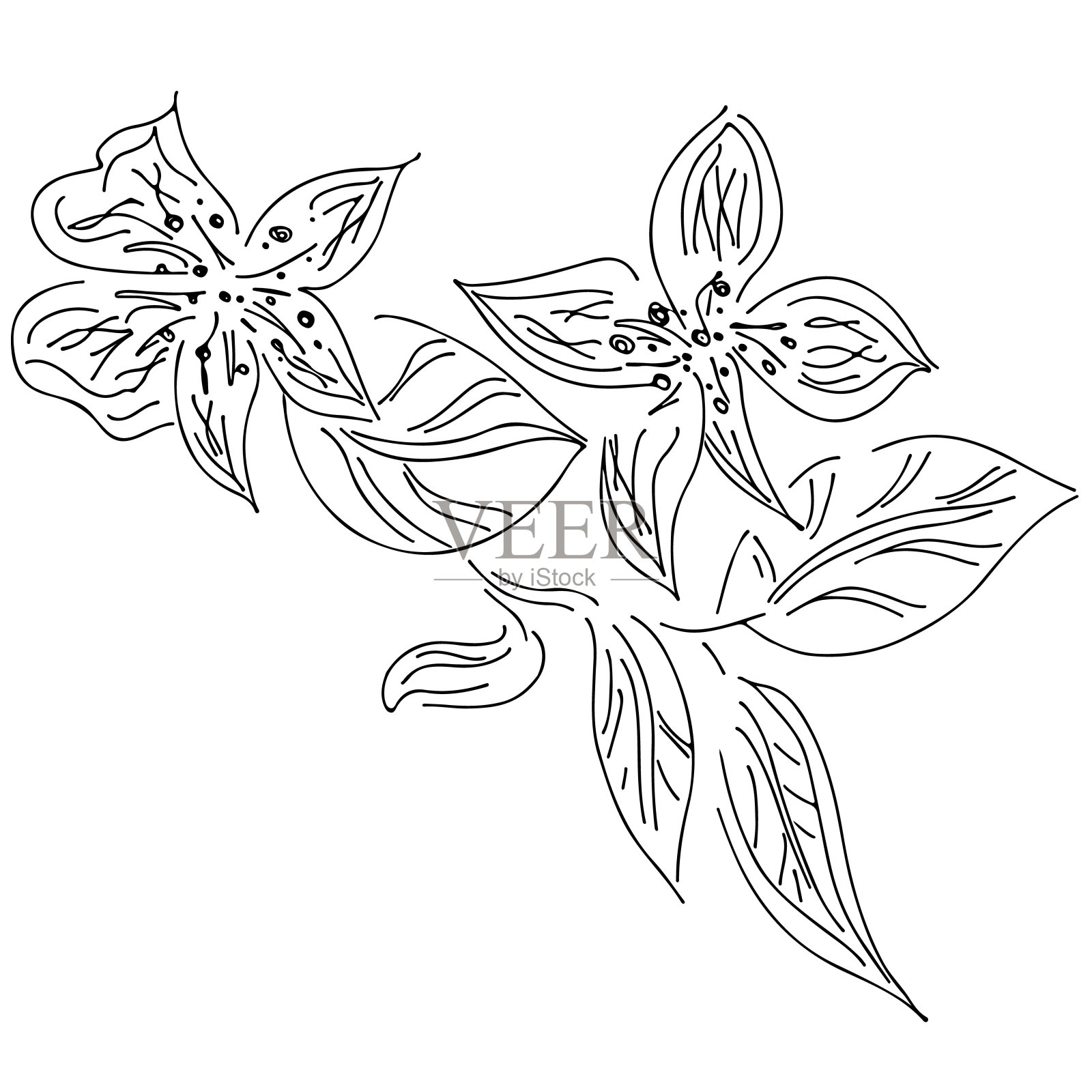 抽象手绘荷花孤立在白色背景。矢量插图。轮廓草图。俯视图插画图片素材