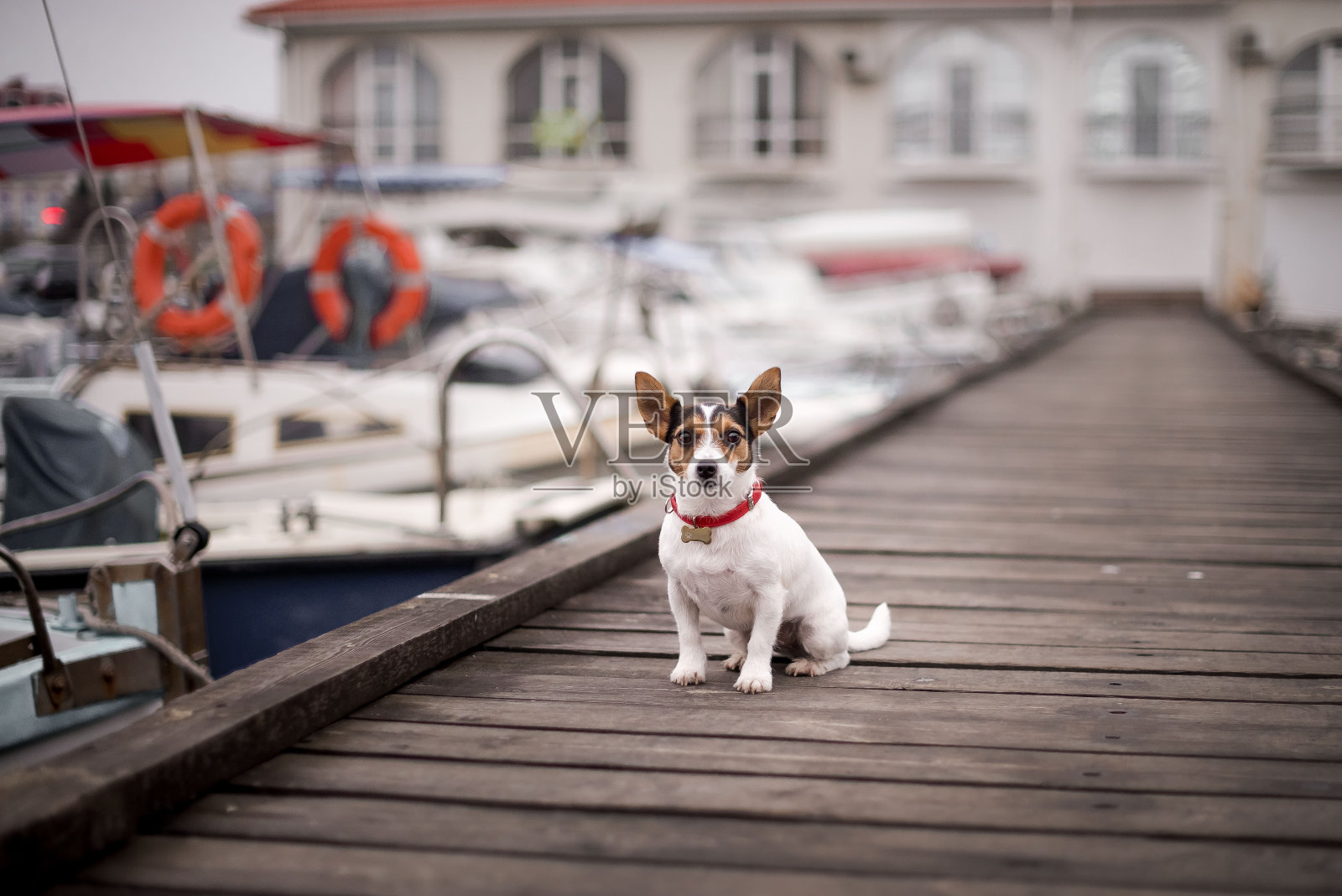 老练的水手照片摄影图片