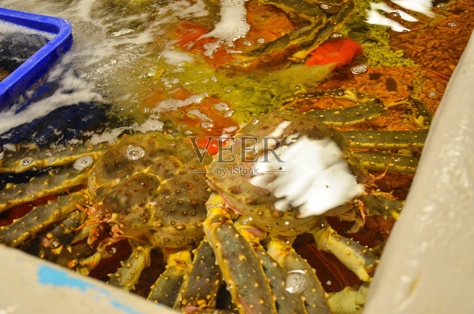 鲜鱼市场的红帝王蟹。照片摄影图片