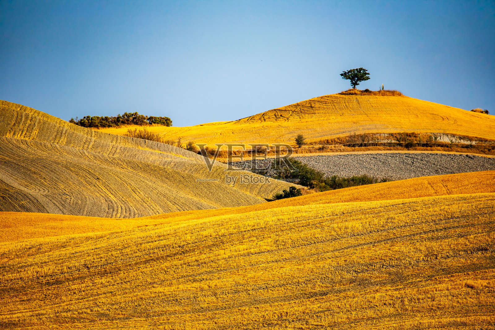 晴空下的农田风景照片摄影图片