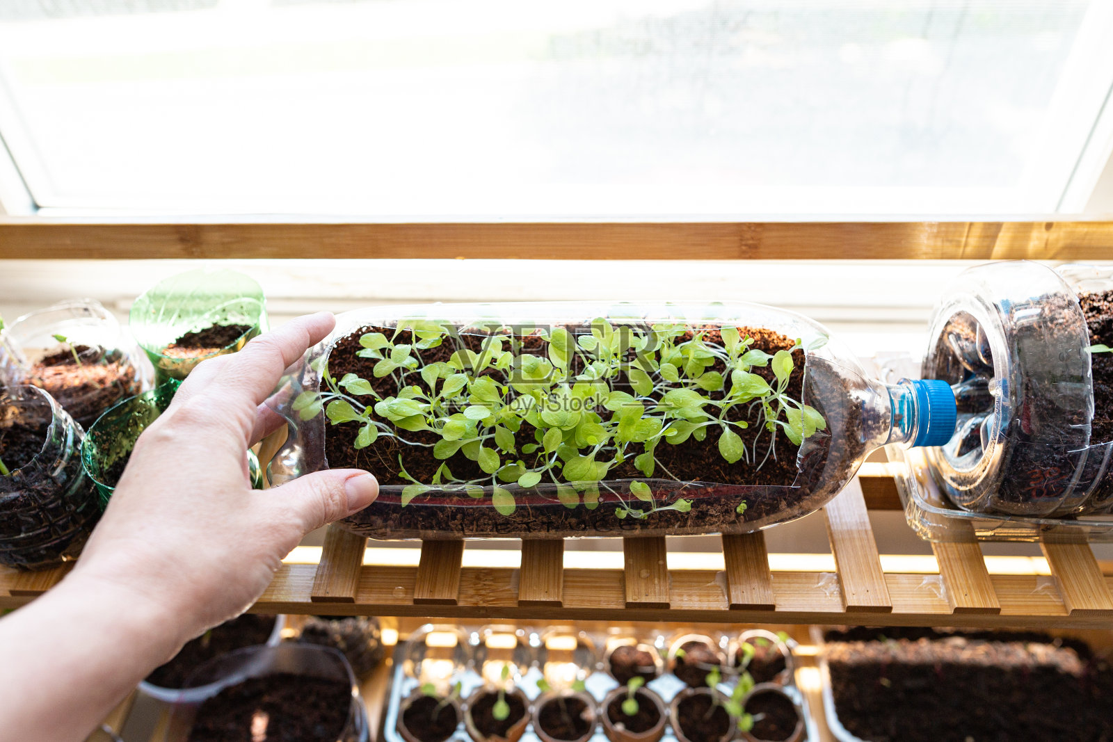 手触碰照片摄影图片