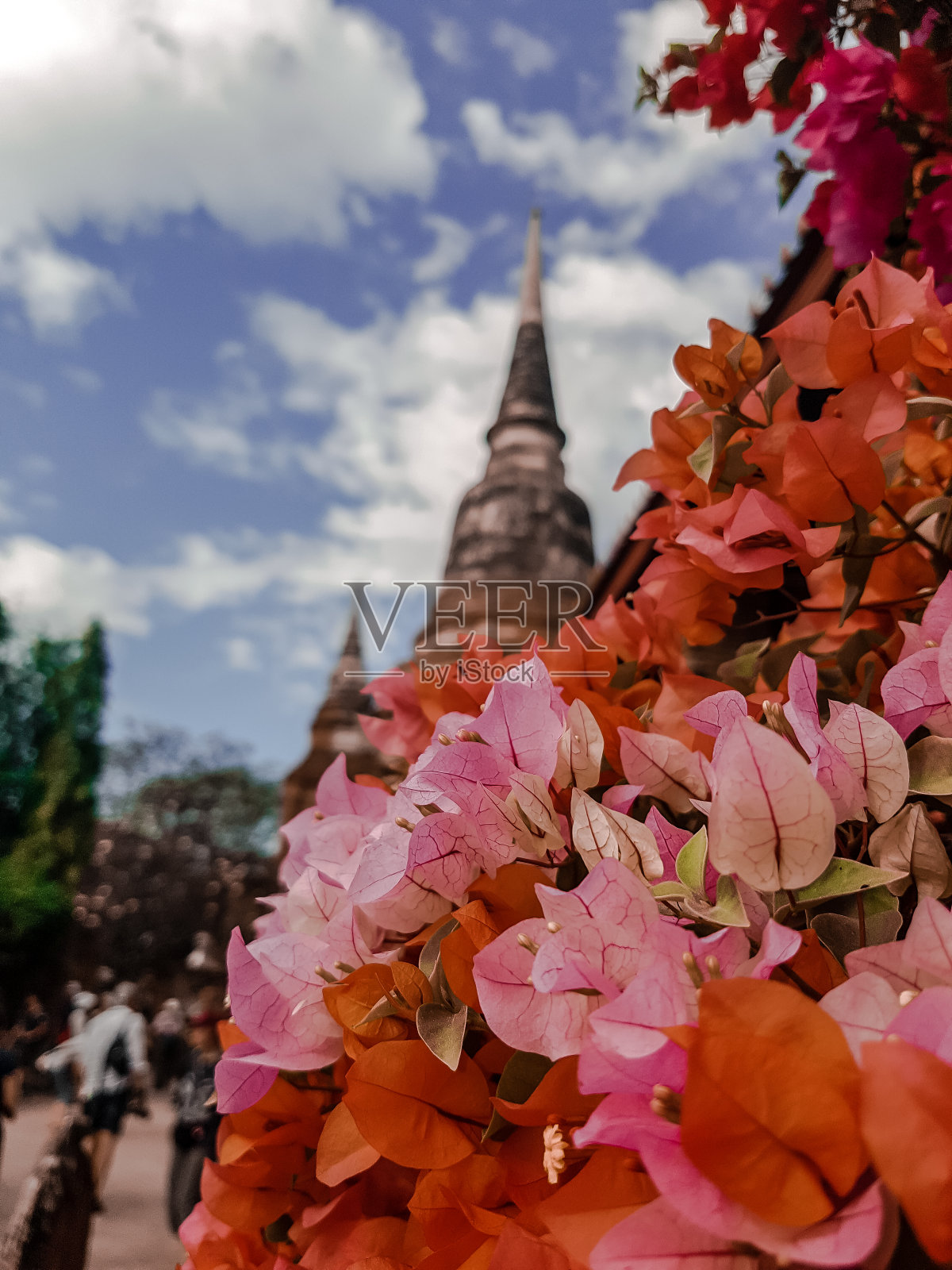 泰国大城府历史古城(玛哈塔寺、斯里桑菲寺、柴华他兰寺、兰姆寺)照片摄影图片