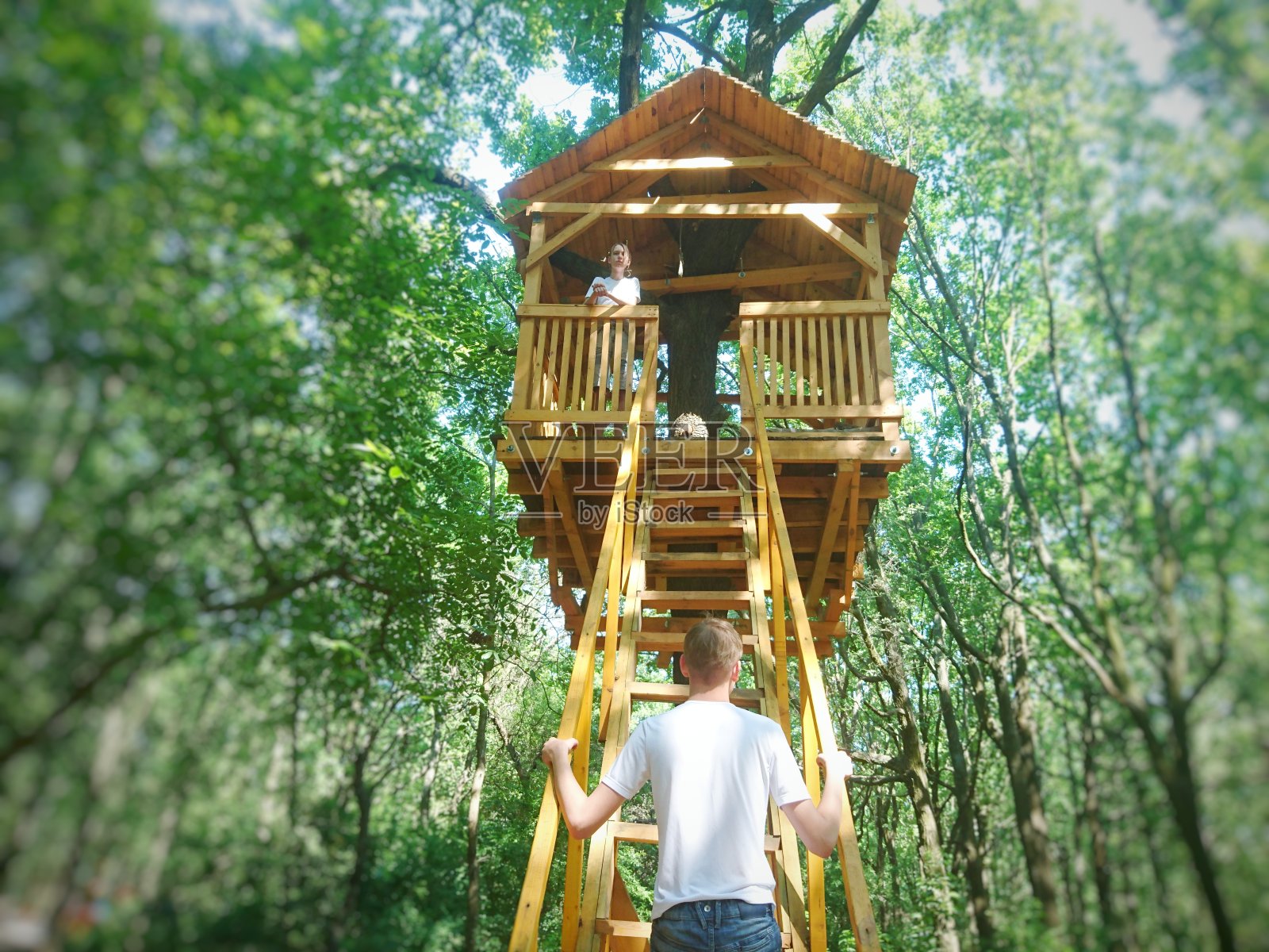 那个人去了楼上的那个人的树屋照片摄影图片