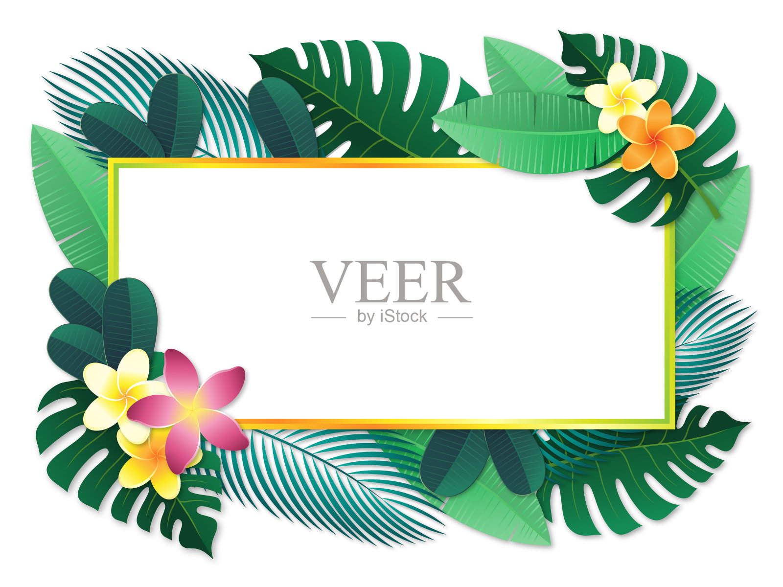 热带度假形象框架插画图片素材