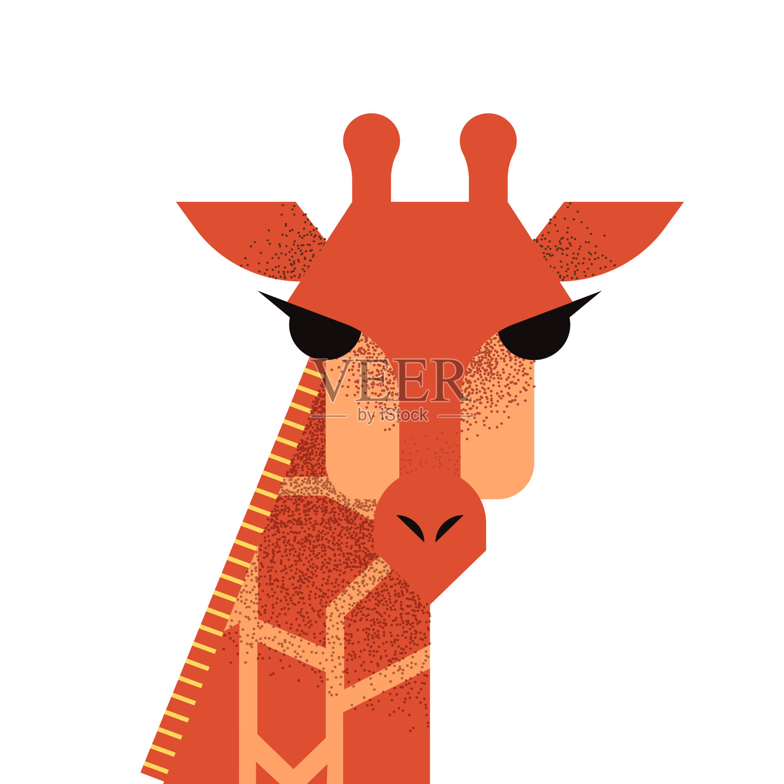 野生长颈鹿的脸在孤立的背景插画图片素材