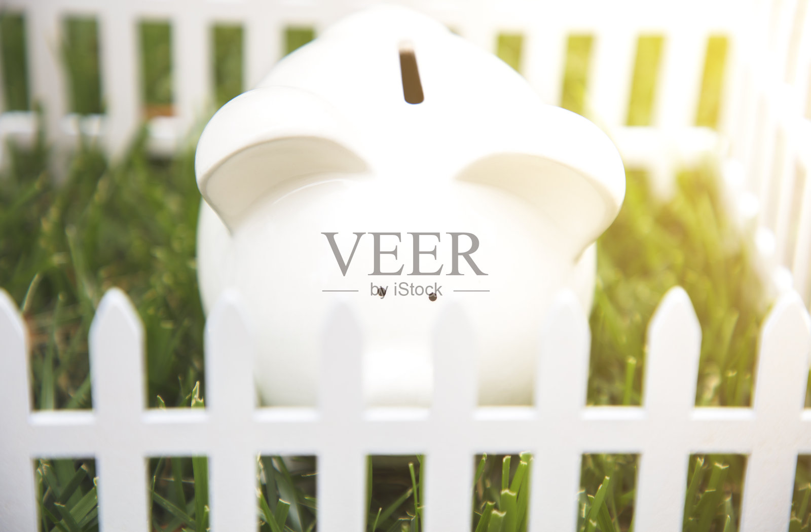 安全的小猪硬币银行照片摄影图片